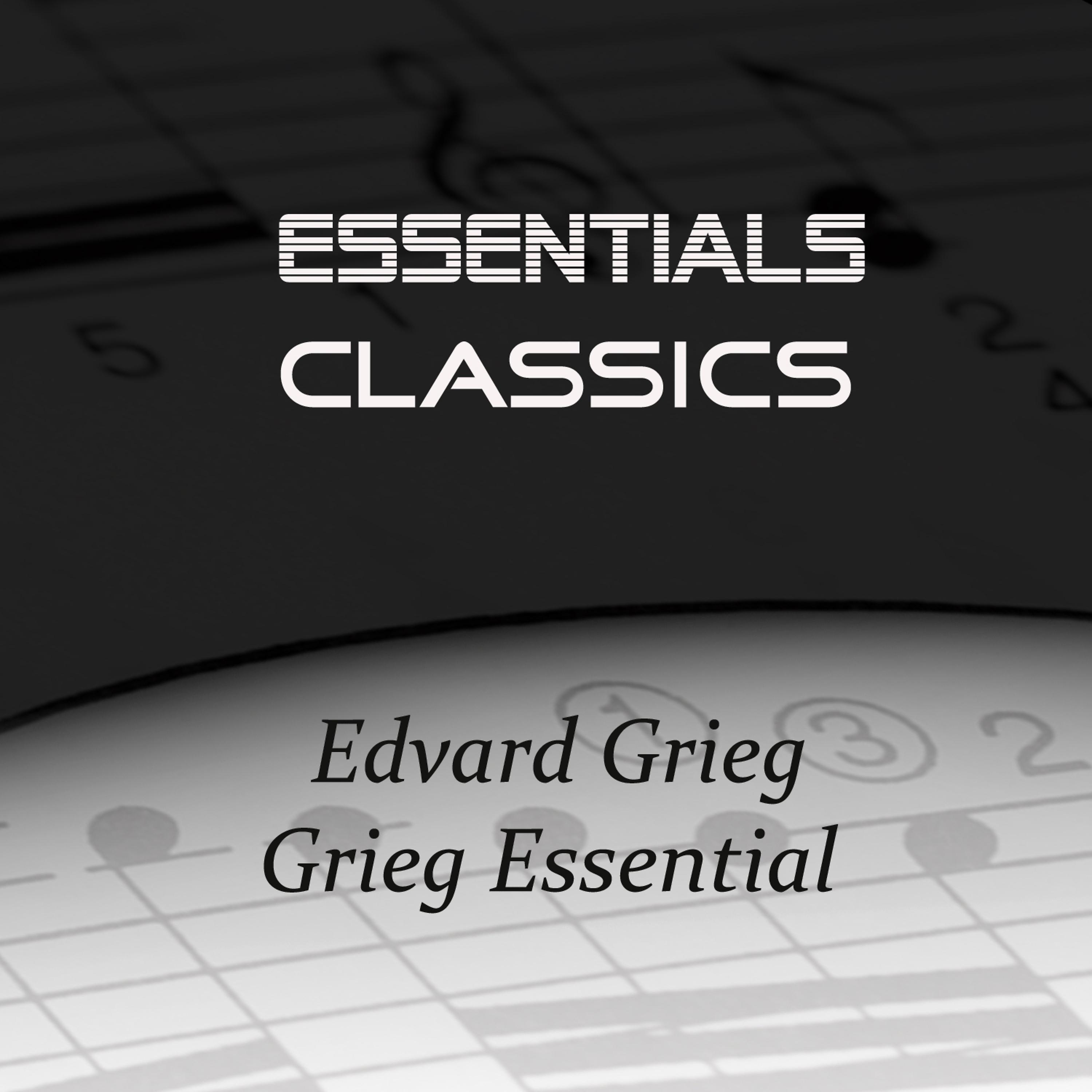 Постер альбома Grieg Essential