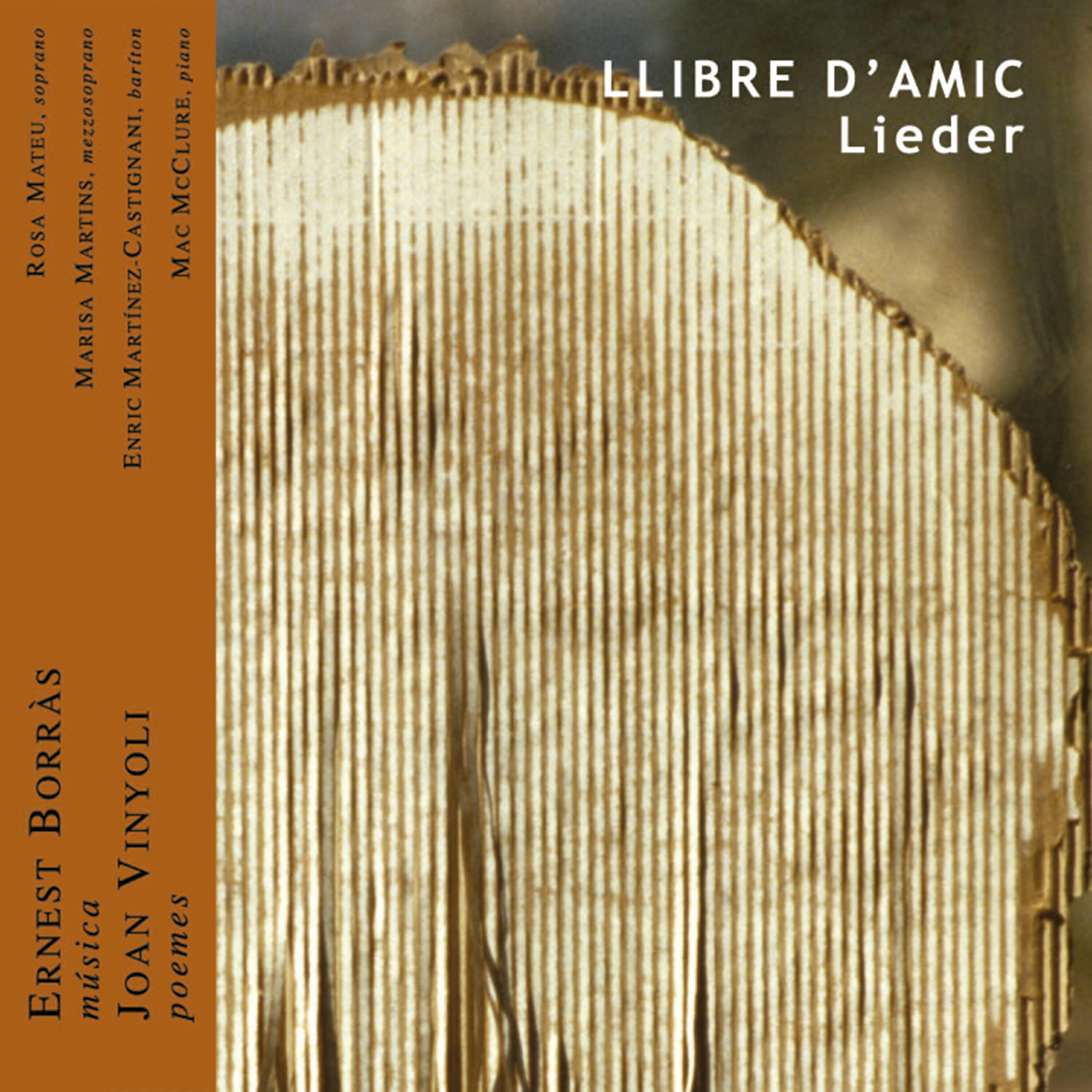 Rosa Mateu - Llibre d'Amic: V. Hoste Meu, Dorms a la Galeria