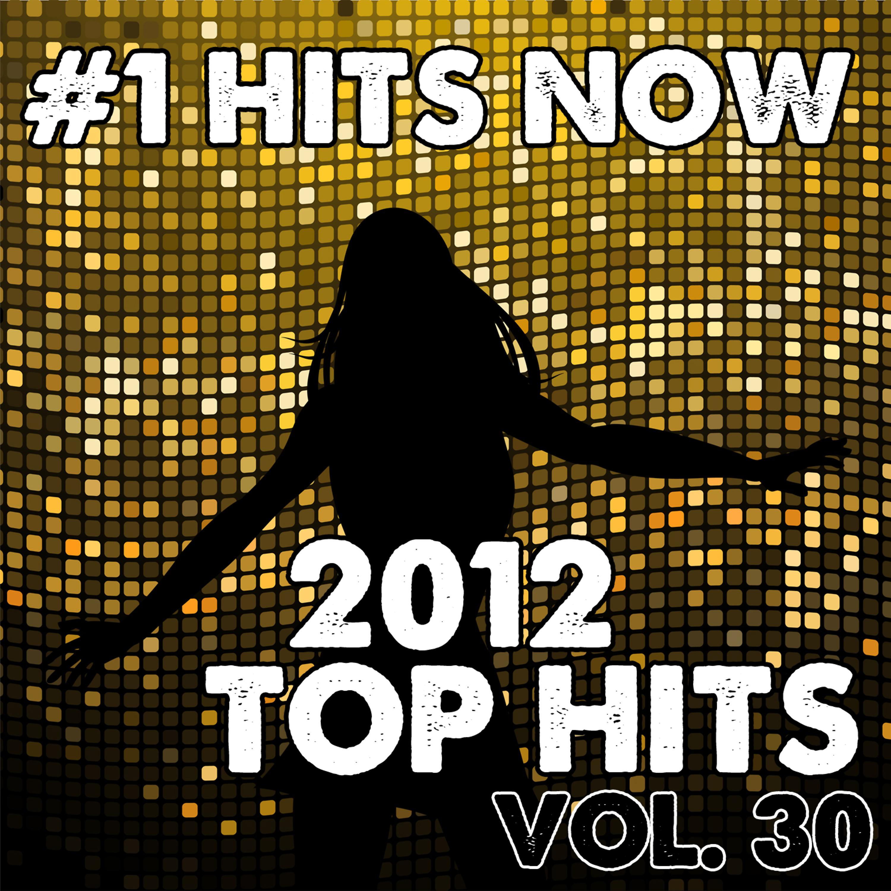 Постер альбома 2012 Top Hits, Vol. 30