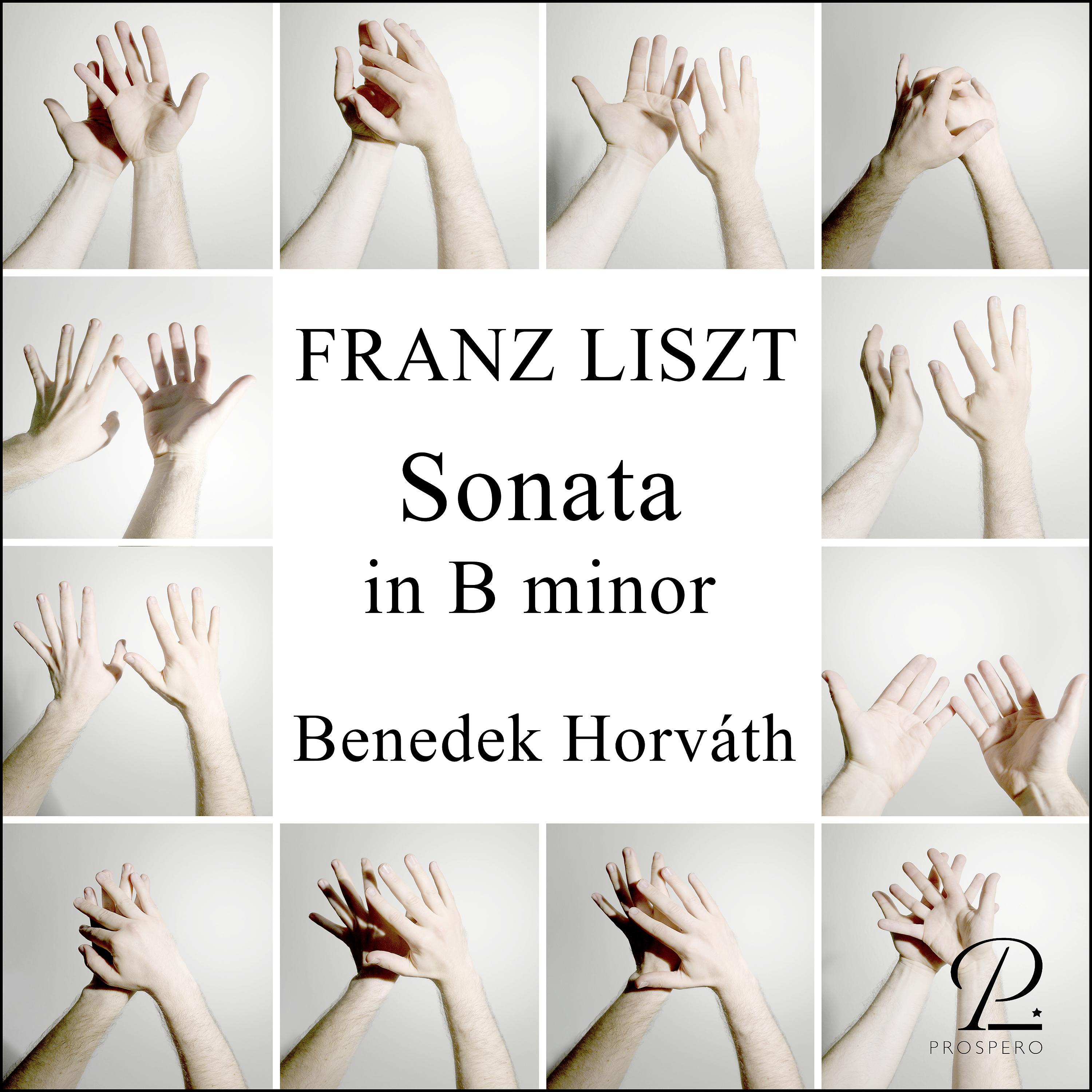 Постер альбома Piano Sonata in B minor, S. 178