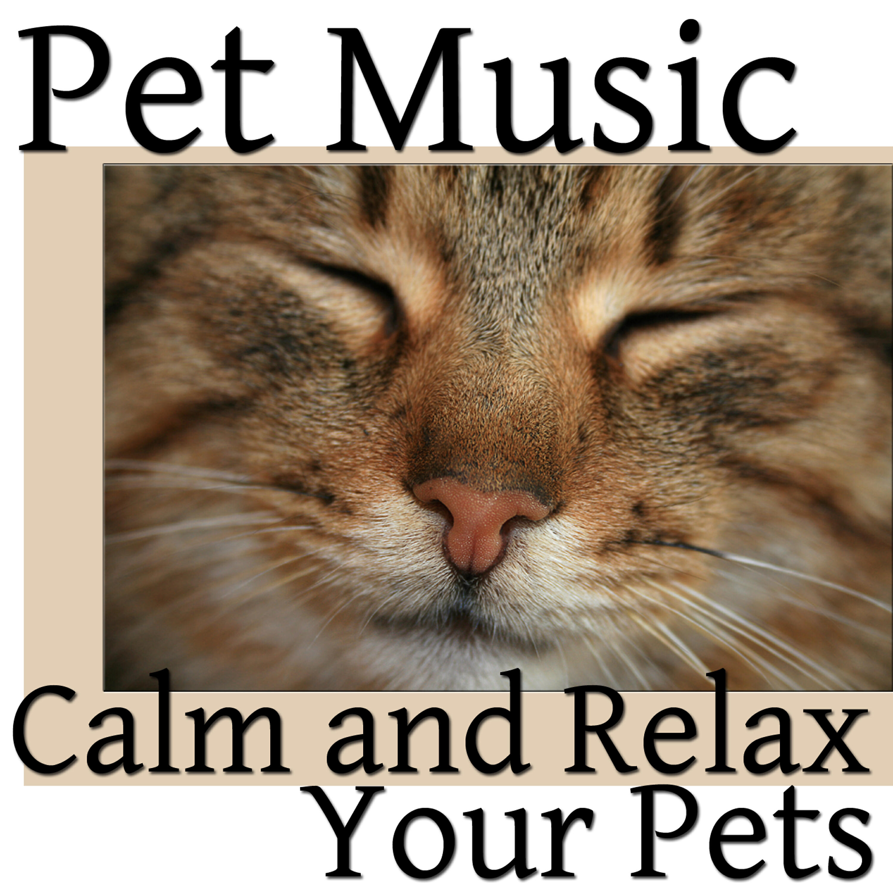 Relaxation Care Masters - Pets Calming Music