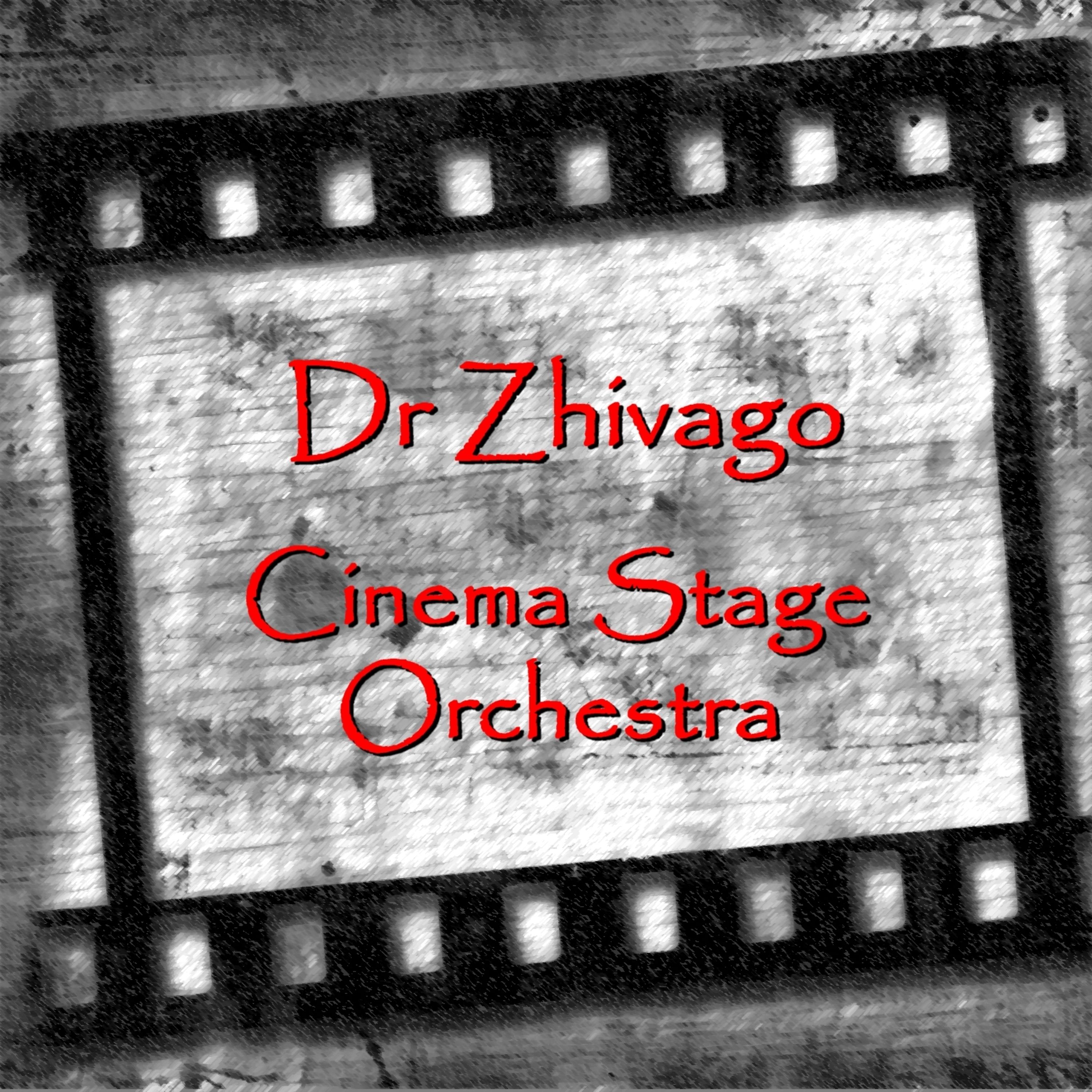 Постер альбома Doctor Zhivago