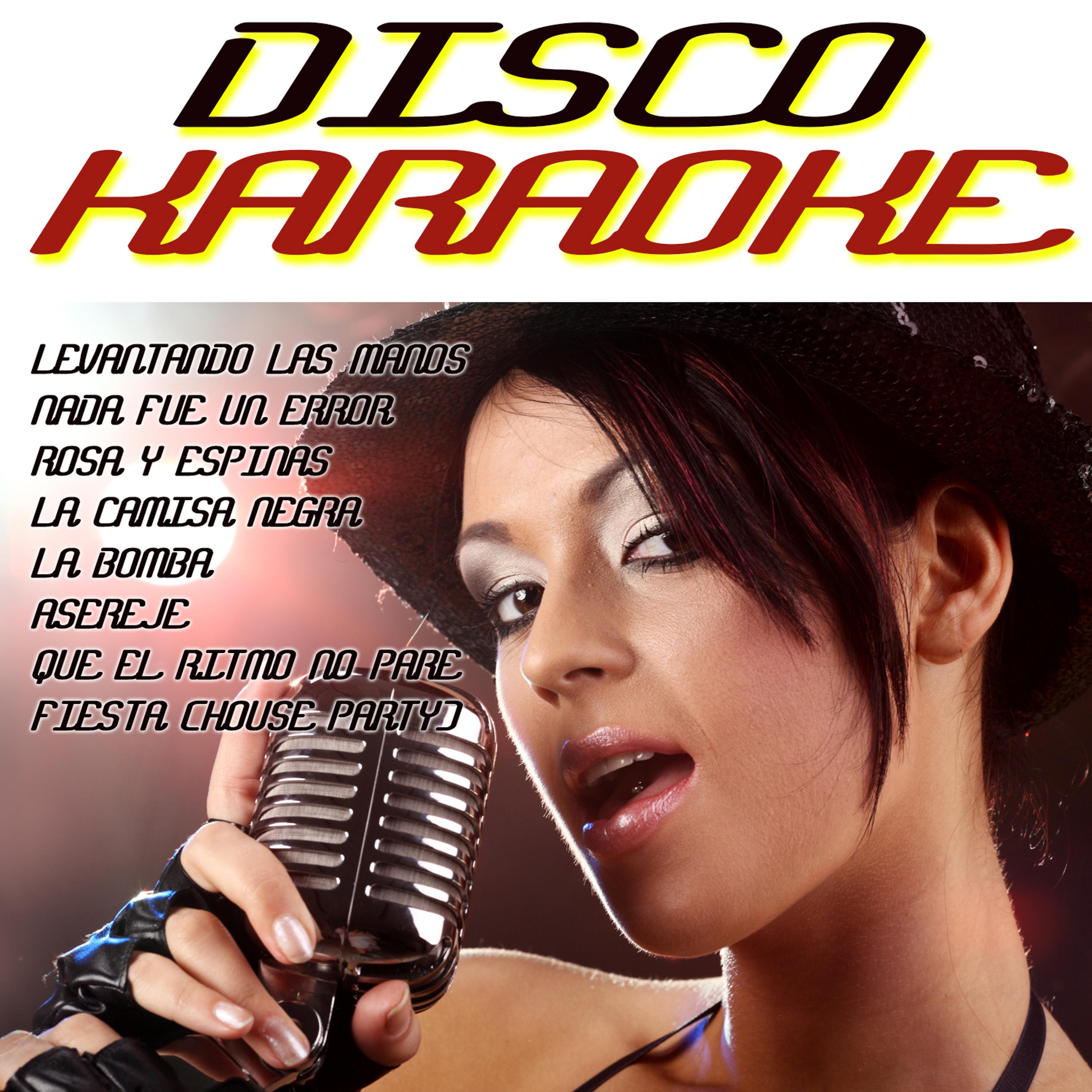 Постер альбома Disco Karaoke