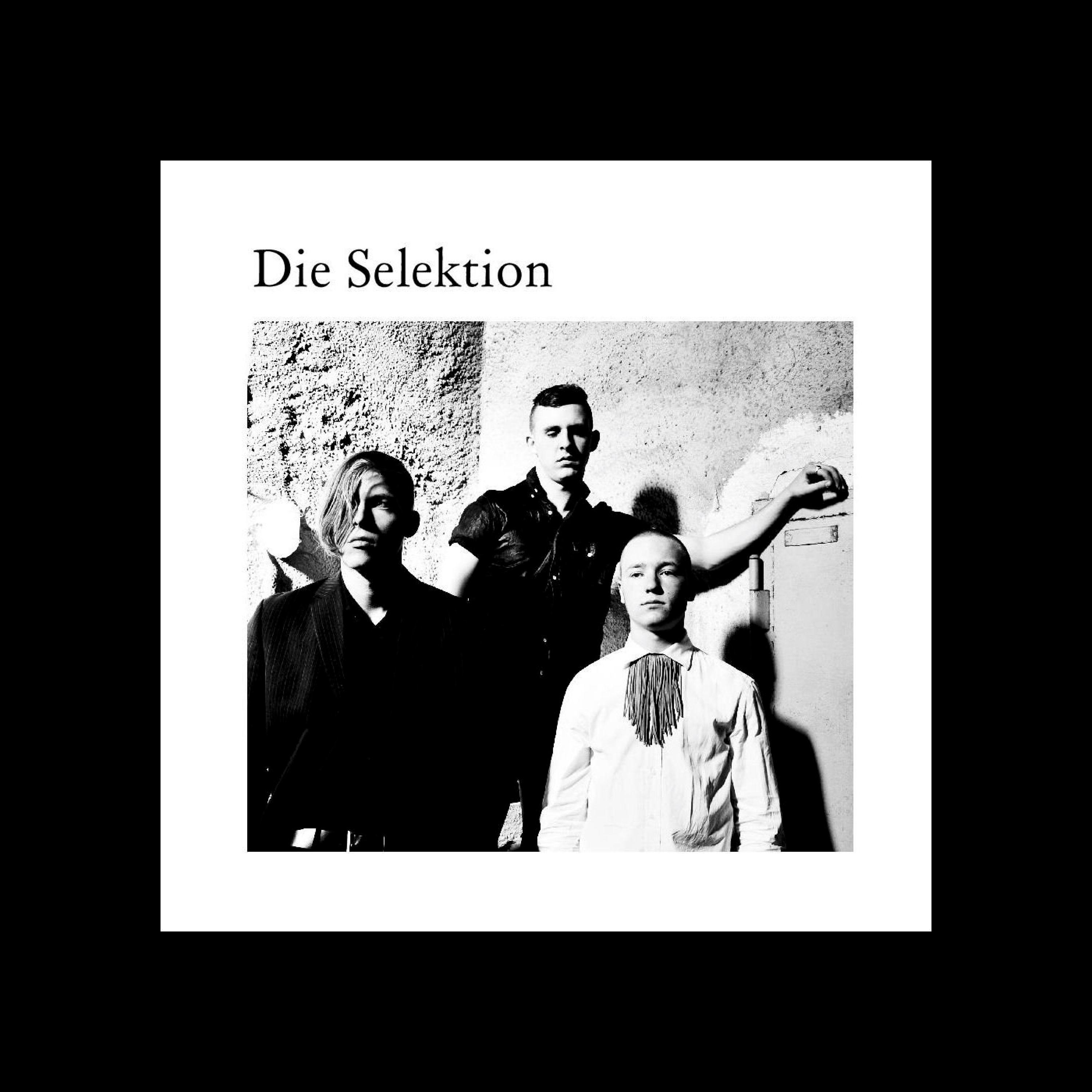 Постер альбома Die Selektion