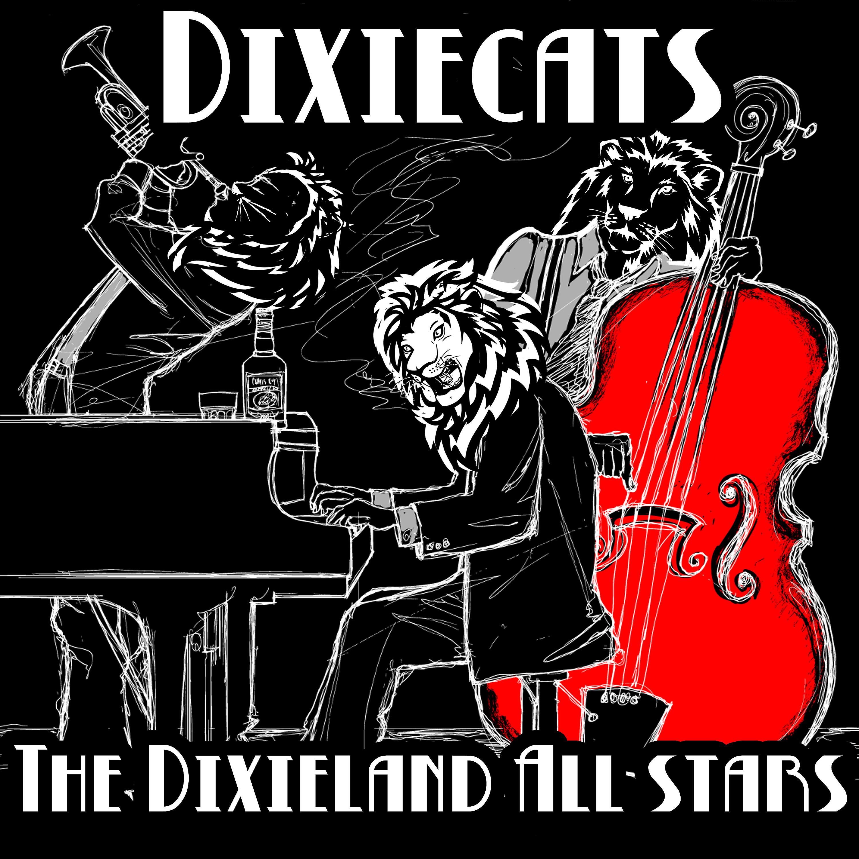 Постер альбома Dixiecats