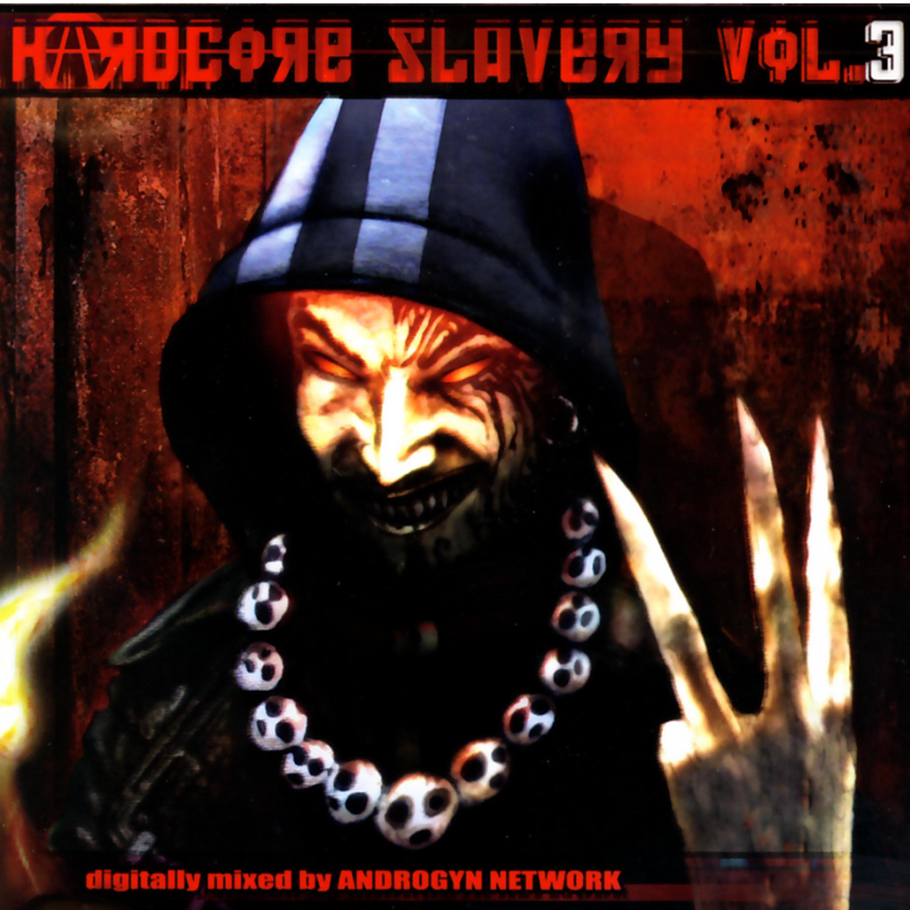 Постер альбома Hardcore Slavery, Vol. 3