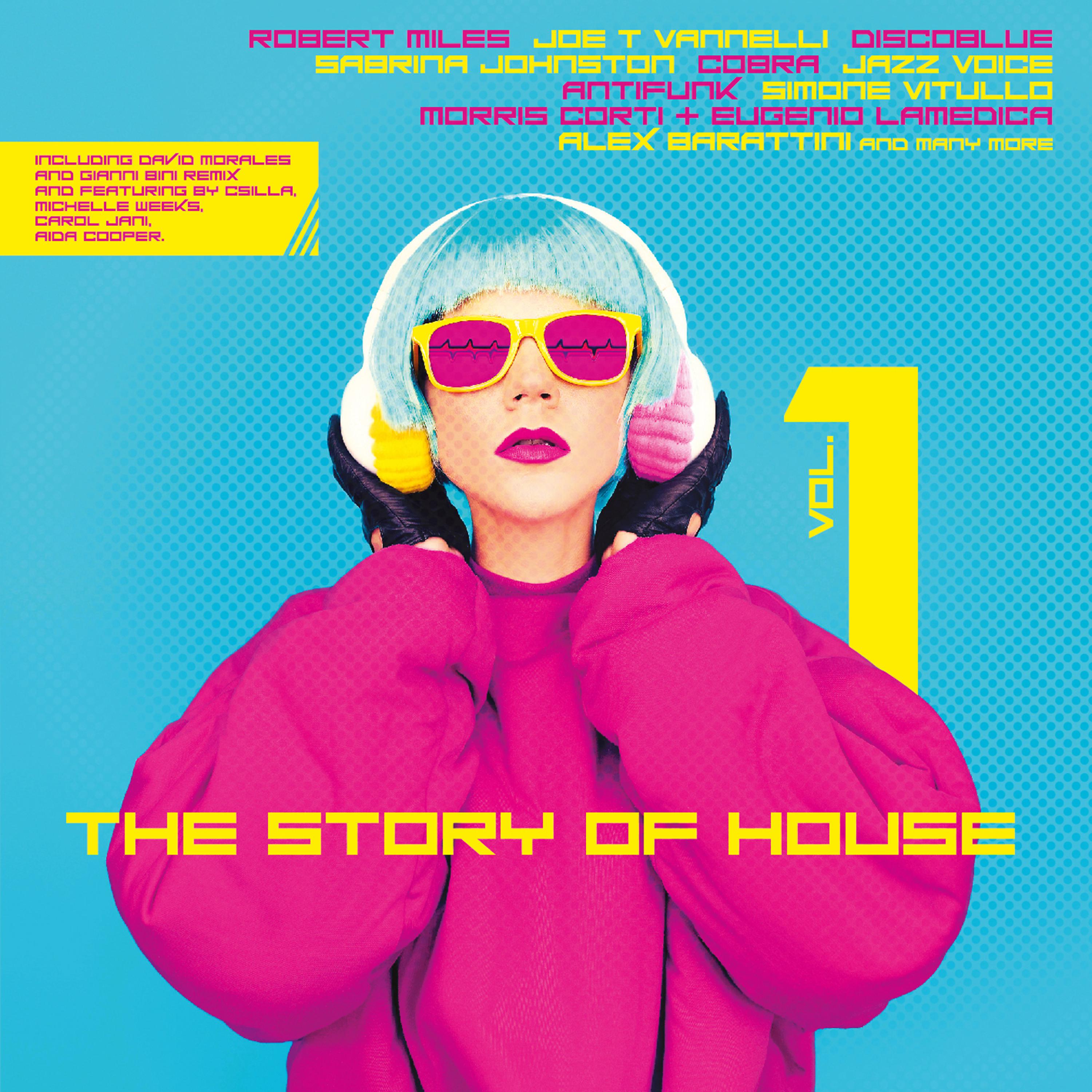Постер альбома The Story of House Vol. 1