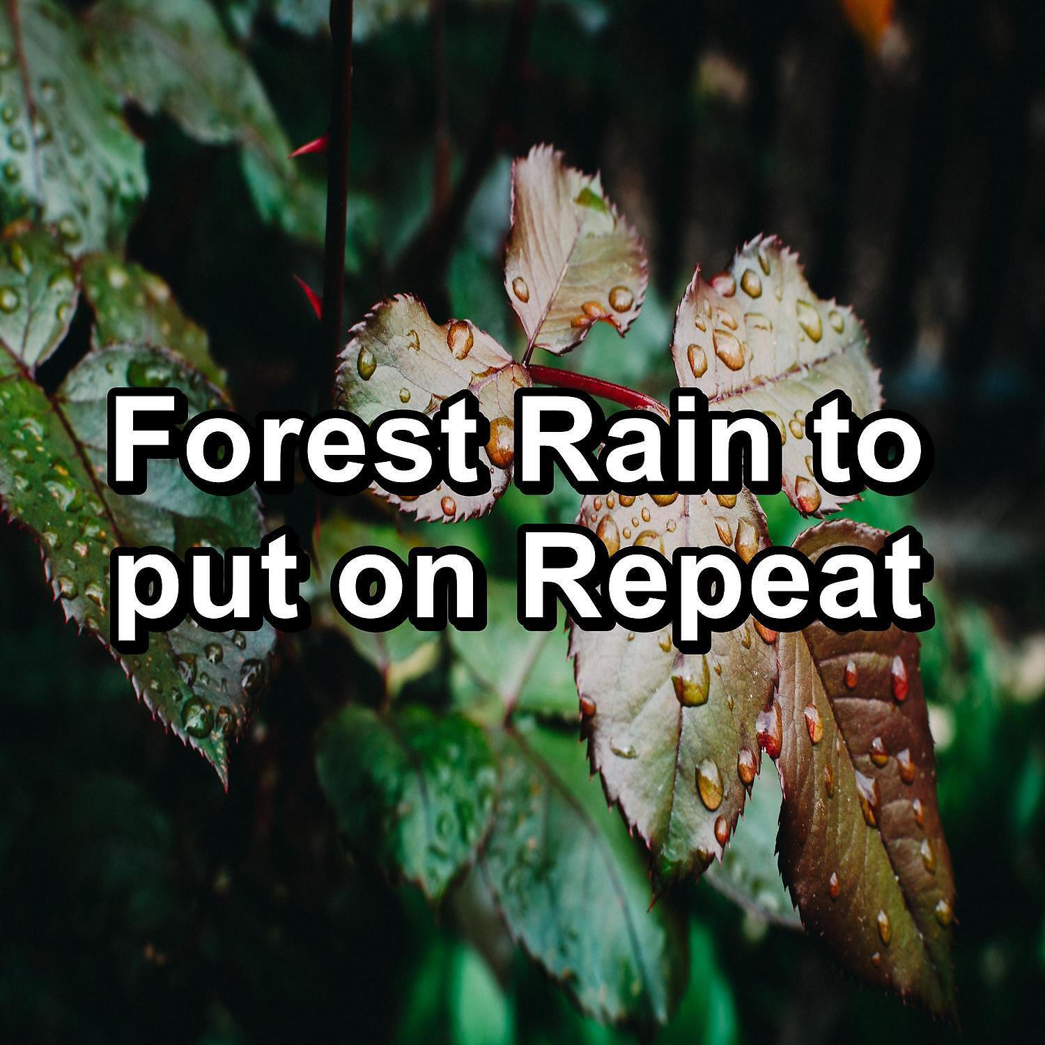 RAIN - Gentle Rain For Quiet Nights Loopable for 20 Hours