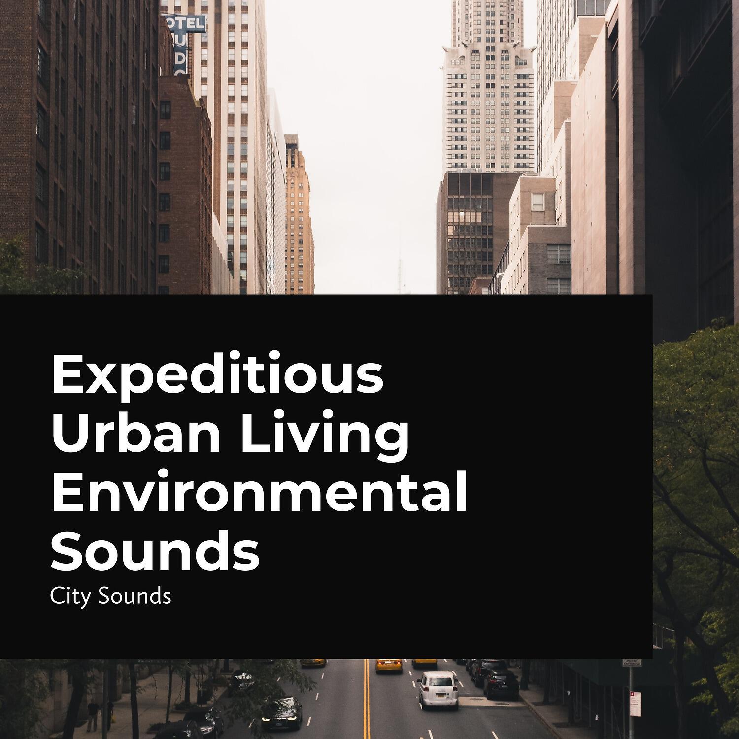 City Sounds - Hectic City Life