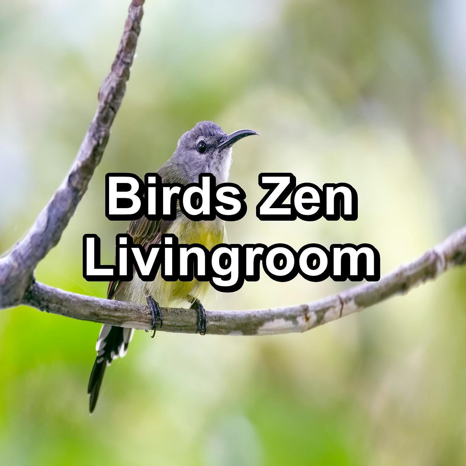 Yoga Tribe - Bird Sounds Garden Bird Songs Peaceful For Meditation