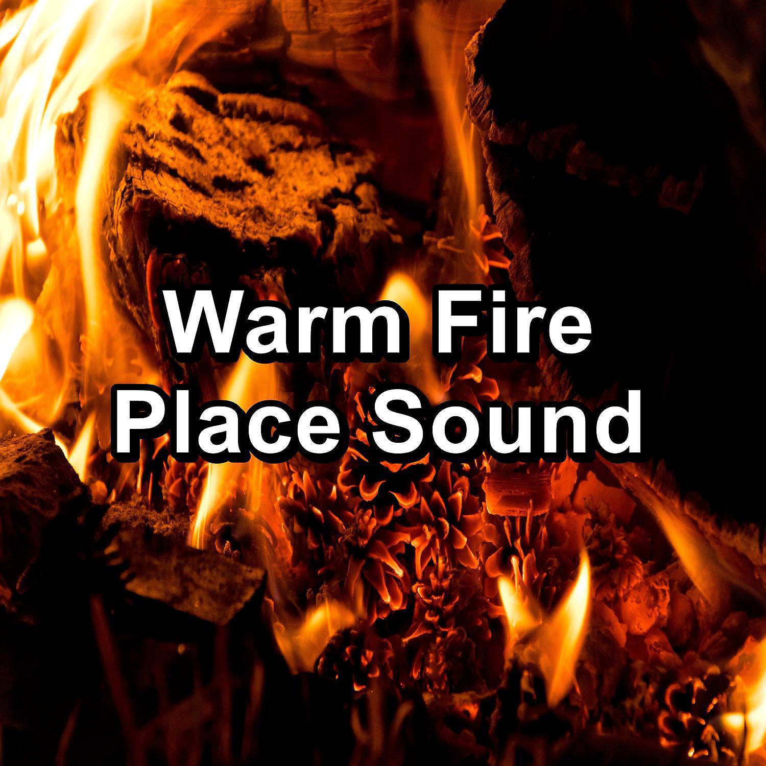 Постер альбома Warm Fire Place Sound