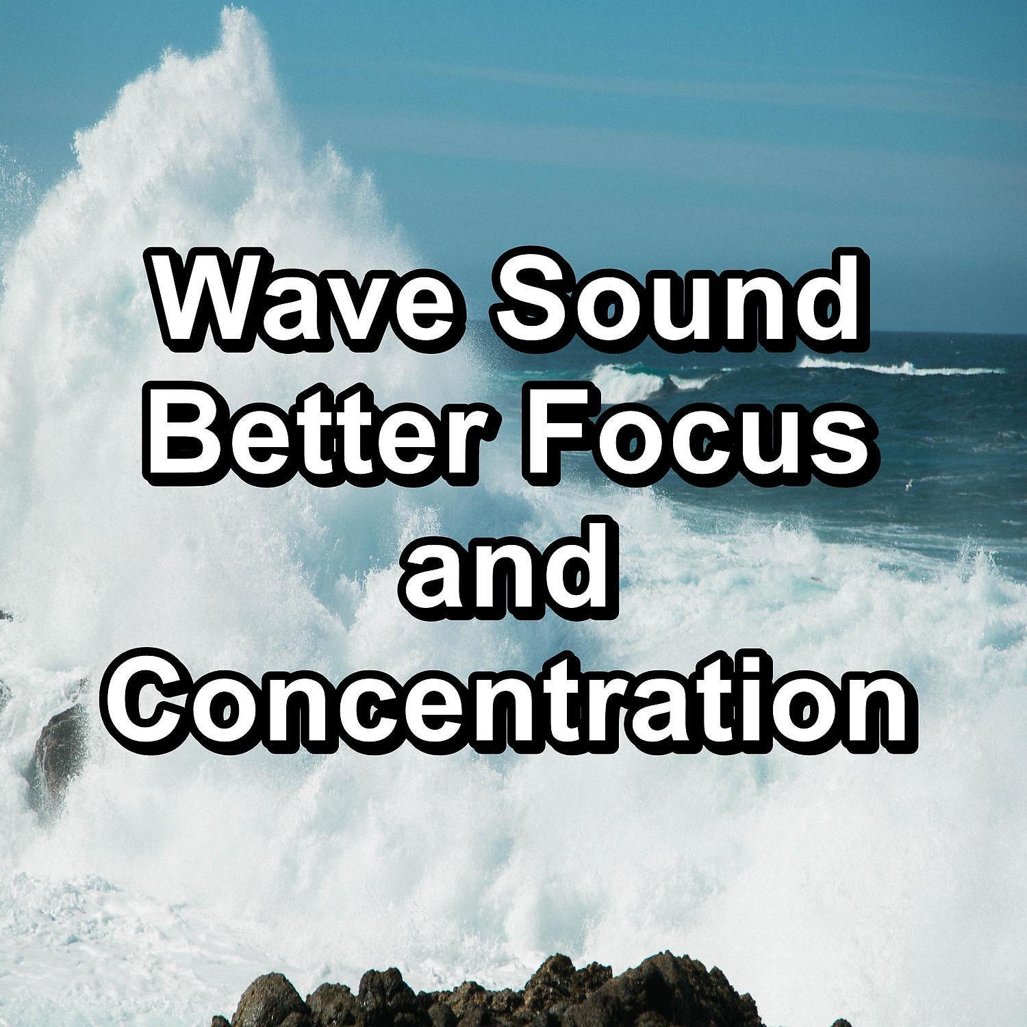 Постер альбома Wave Sound Better Focus and Concentration
