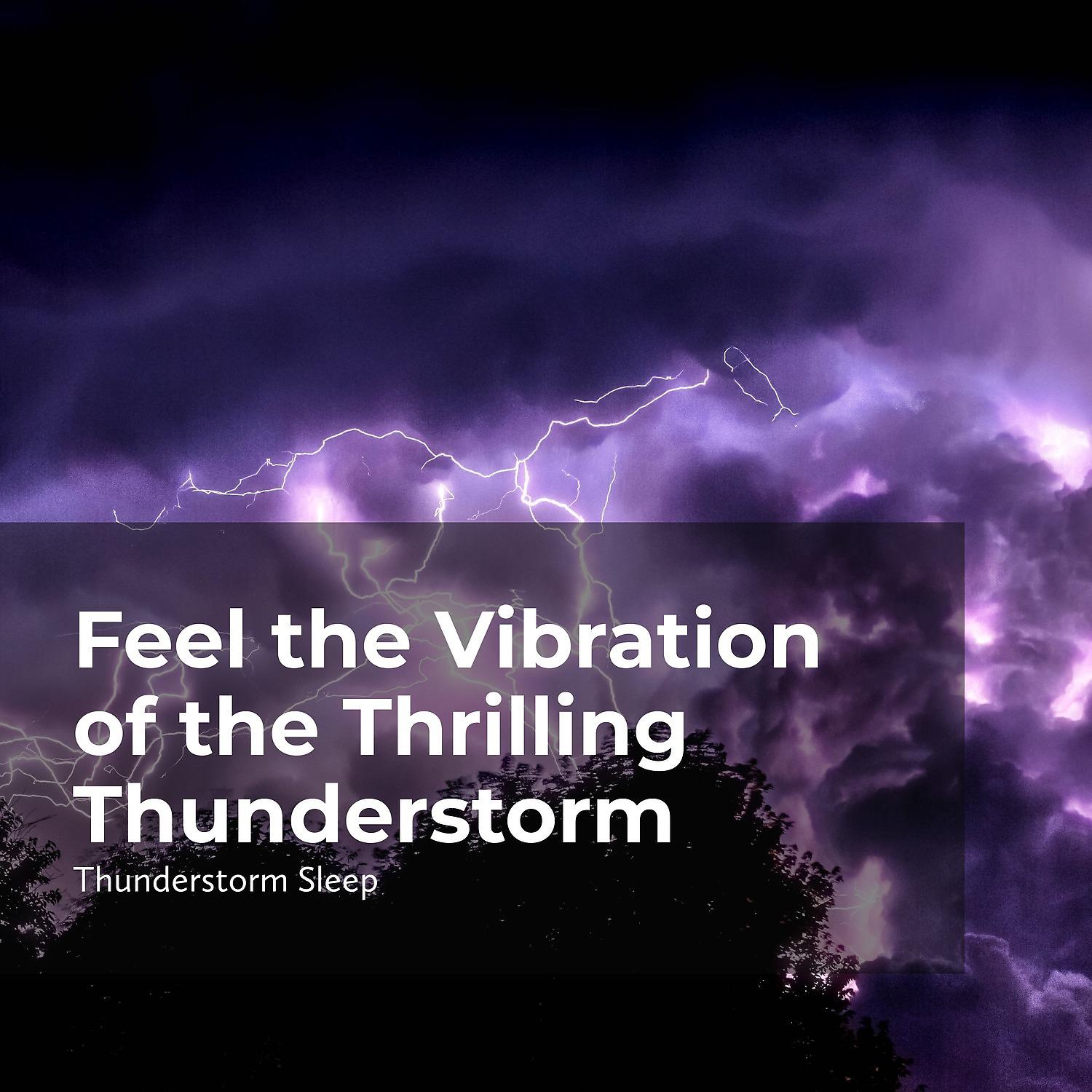Постер альбома Feel the Vibration of the Thrilling Thunderstorm