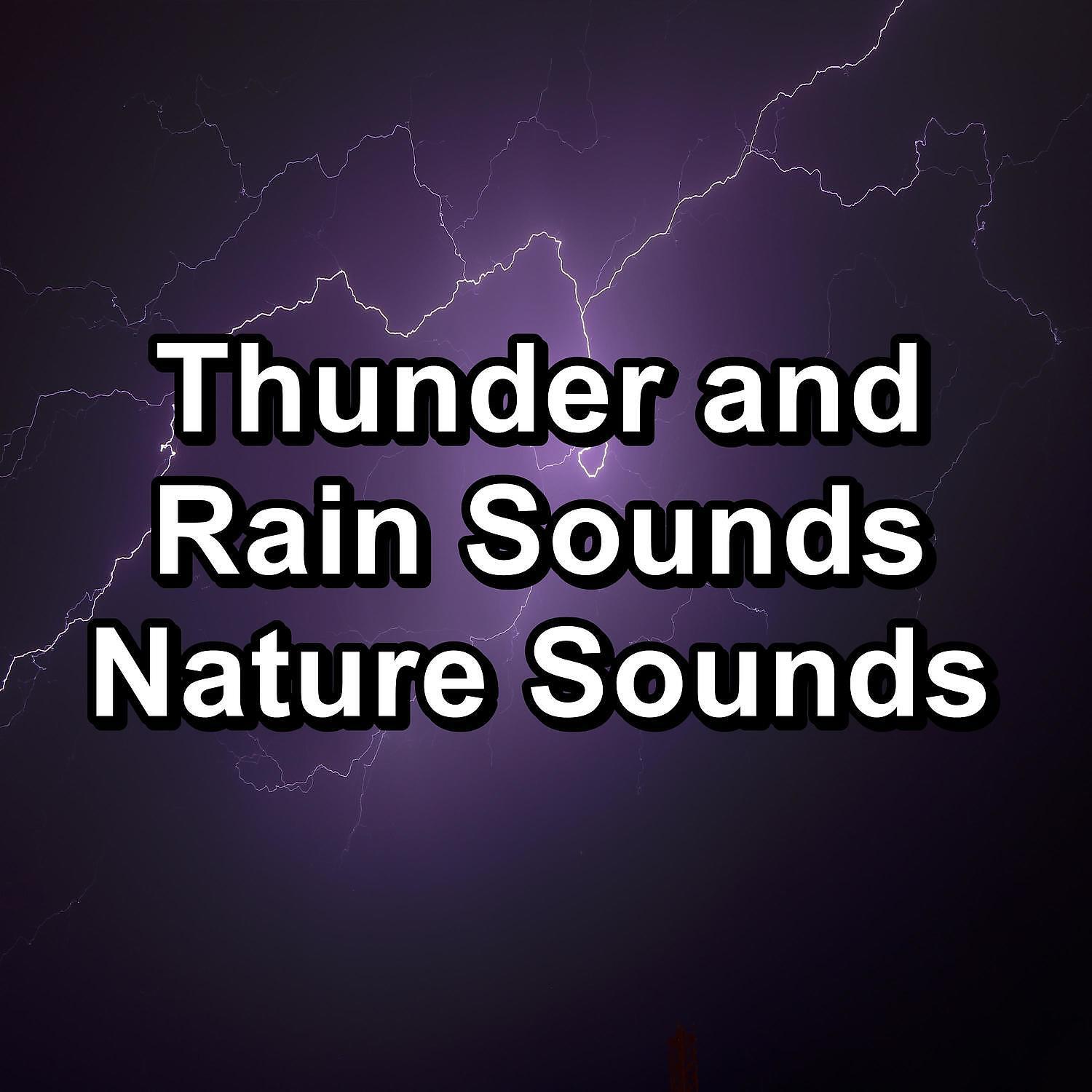 Nature Sounds ï¿½ Sons de la nature - Calm Rain For a Peaceful Night To Help You Sleep