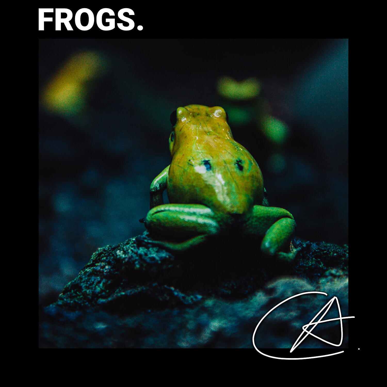 Rain Sound Studio - Natural sound of Forest Frog in Quiet Night improve your memory