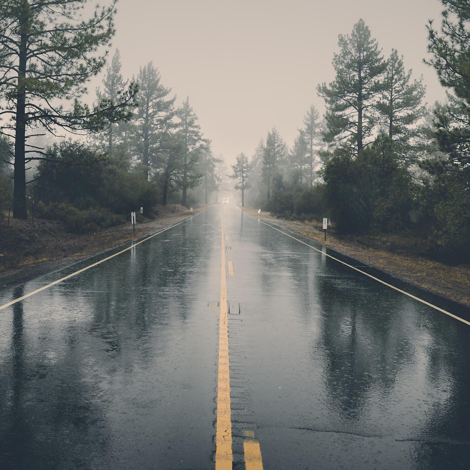 Rain Sounds Collection - Rainy Noise for Insomniac