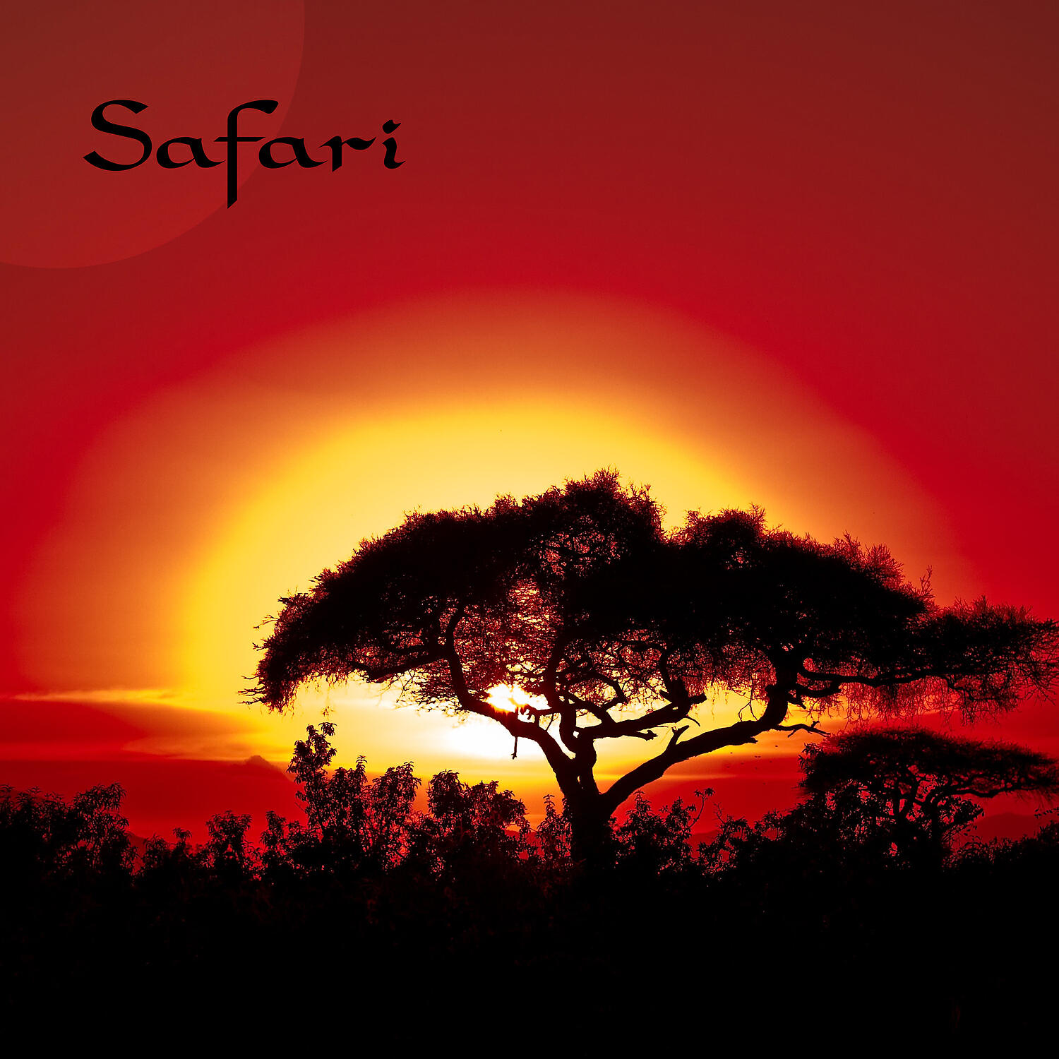 David Beard - Africa Dream