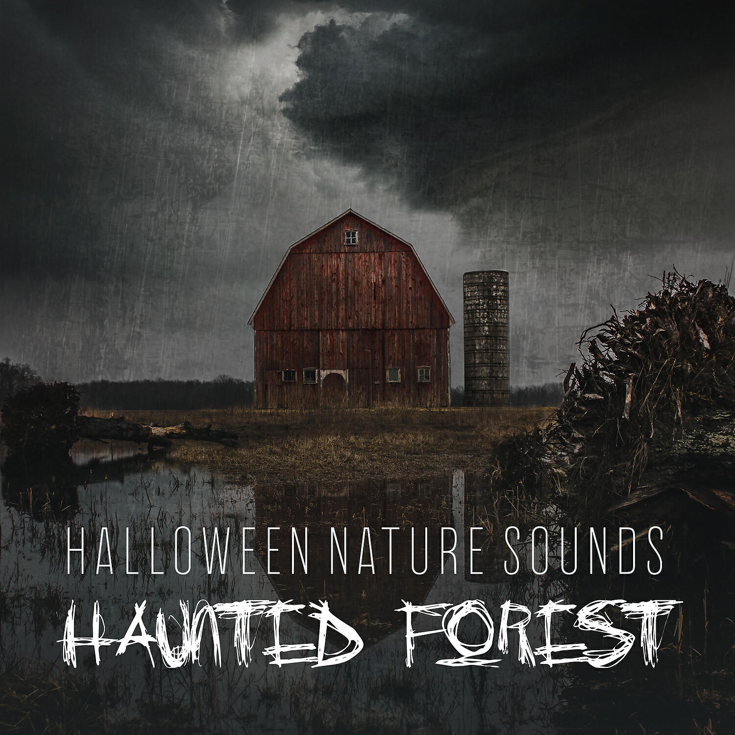Spooky Halloween Sounds - Scary Night
