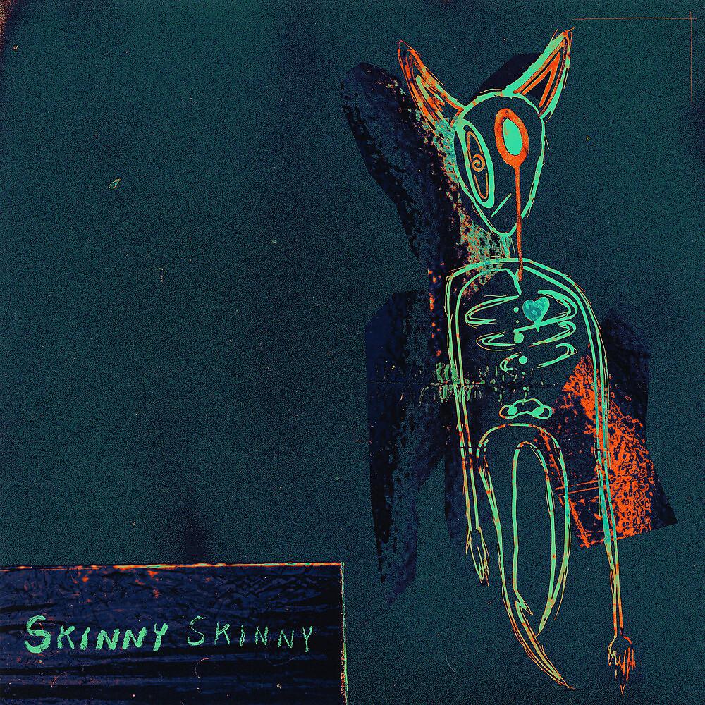 Постер альбома Skinny Skinny