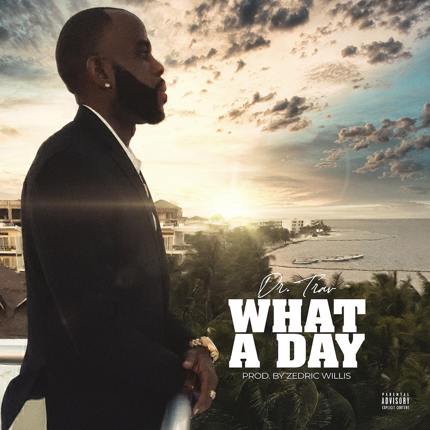 Dr. Trav - What a Day