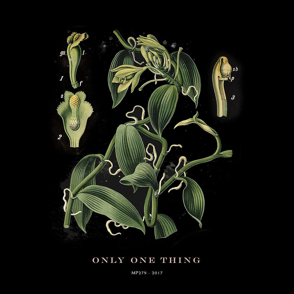 Hola A Todo El Mundo - Only One Thing