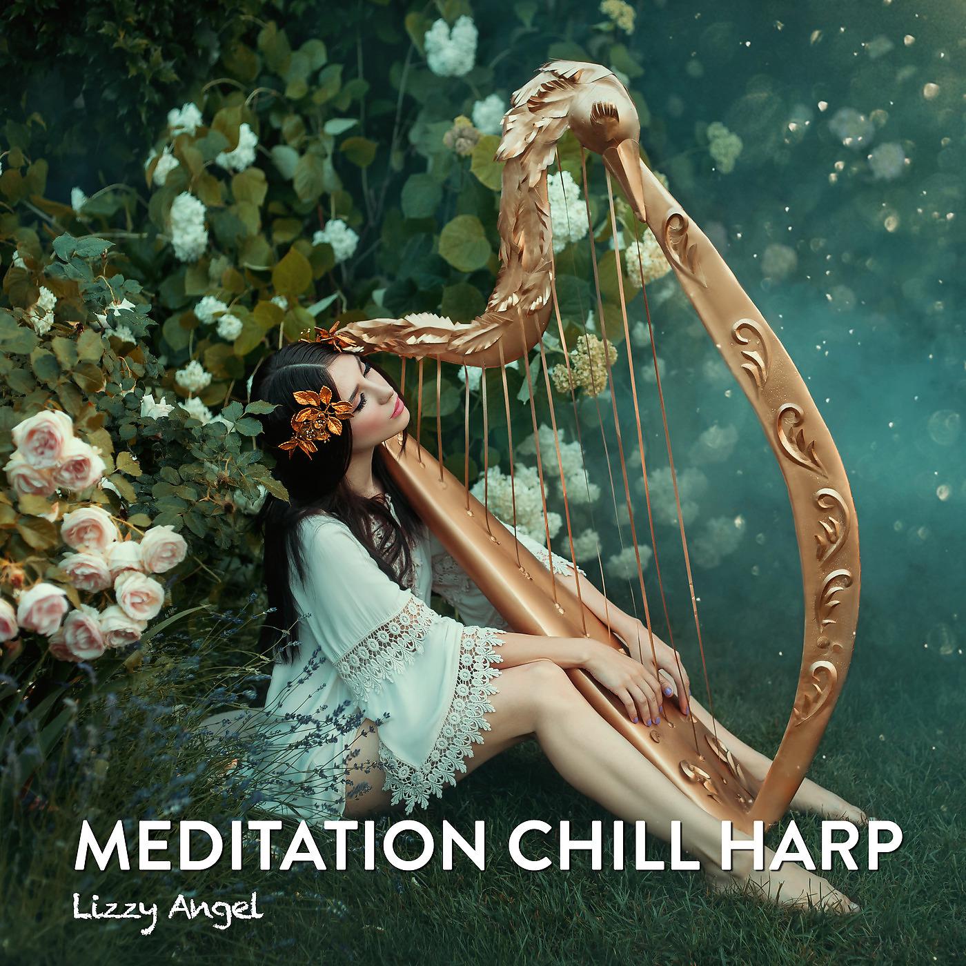 Постер альбома Meditation Chill Harp