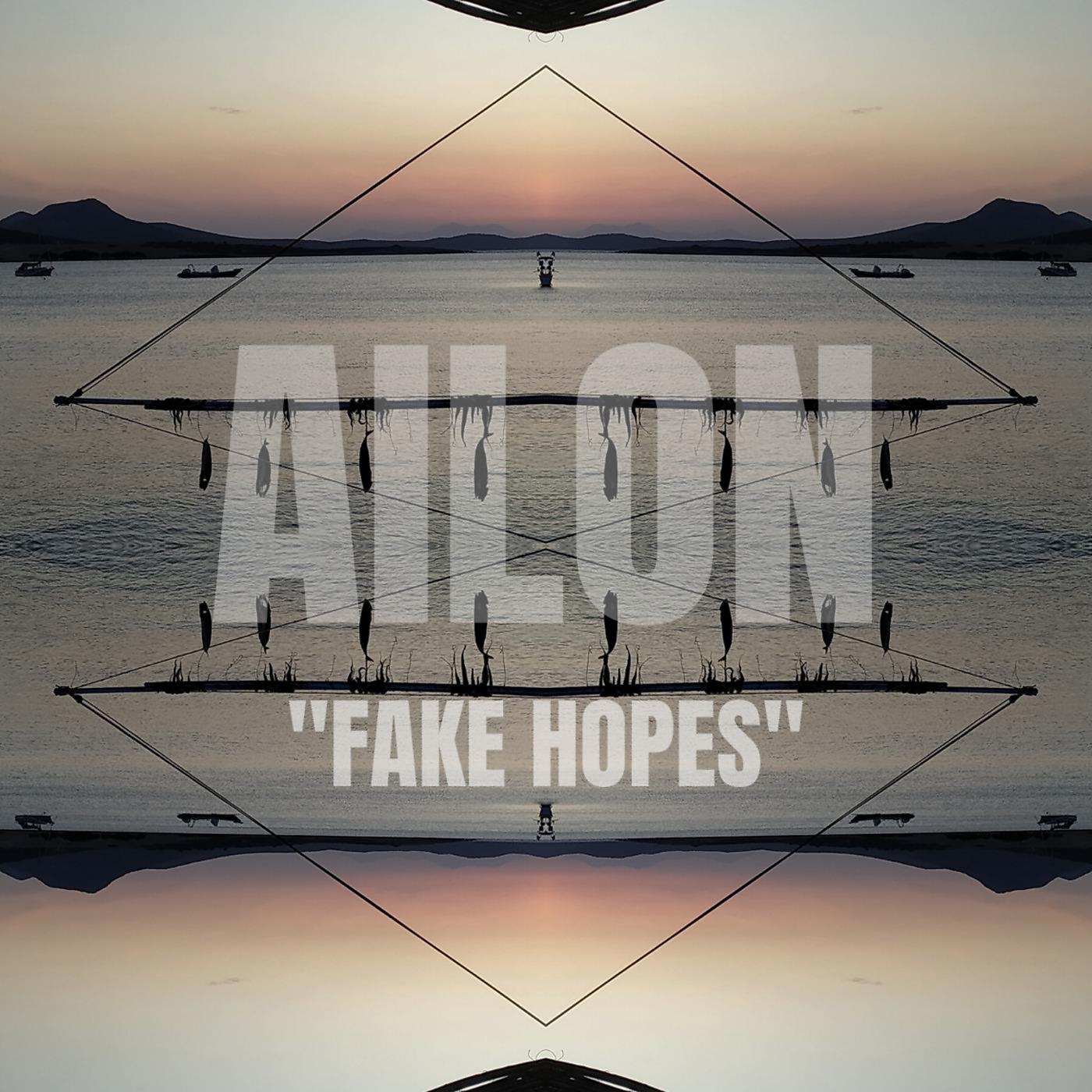 Постер альбома Fake Hopes