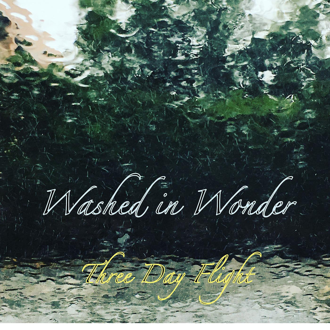 Постер альбома Washed in Wonder