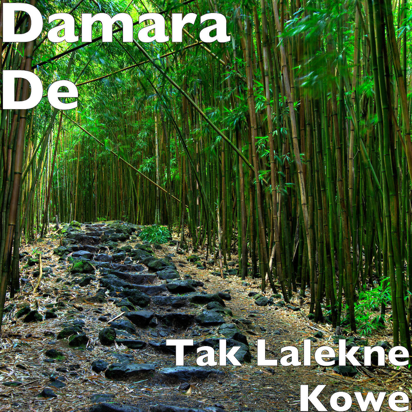 Damara De - Tak Lalekne Kowe