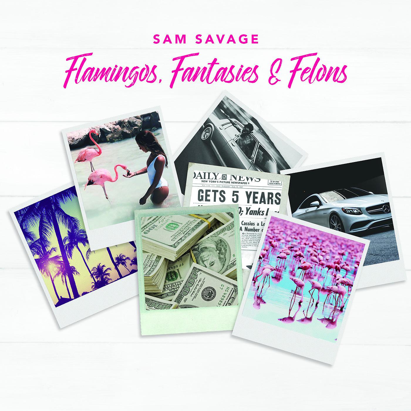 Постер альбома Flamingos, Fantasies & Felons