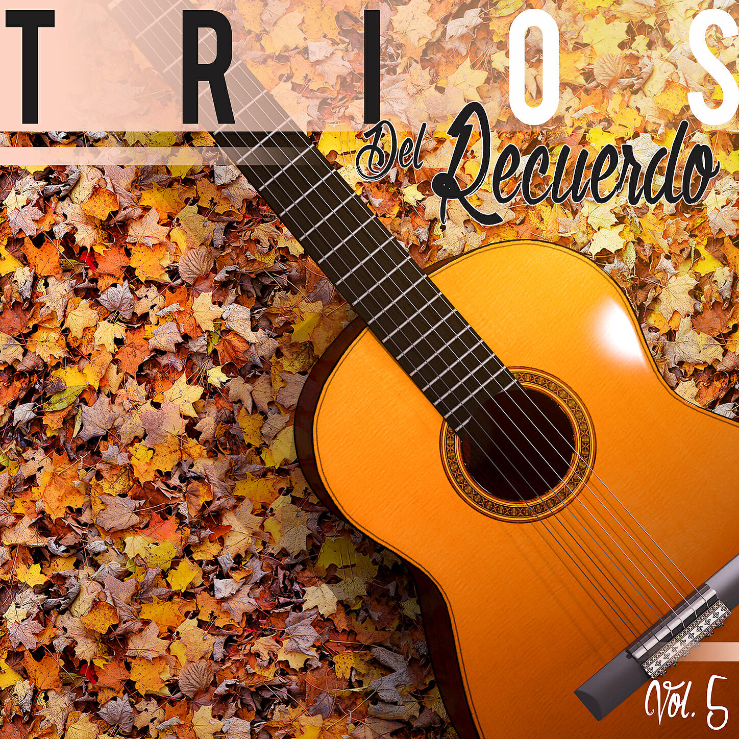 Varios - Encadenados