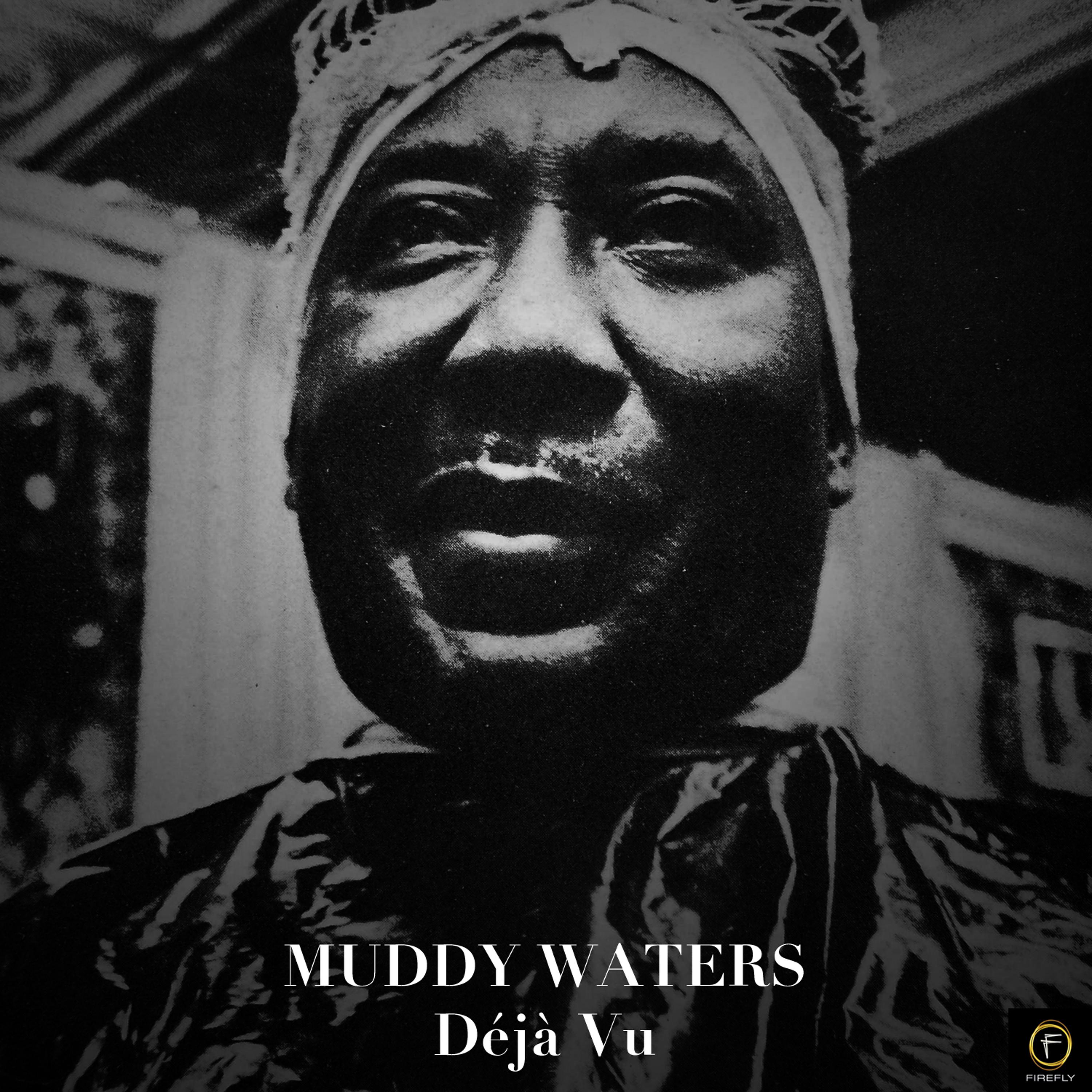 Постер альбома Muddy Waters: Déjà Vu