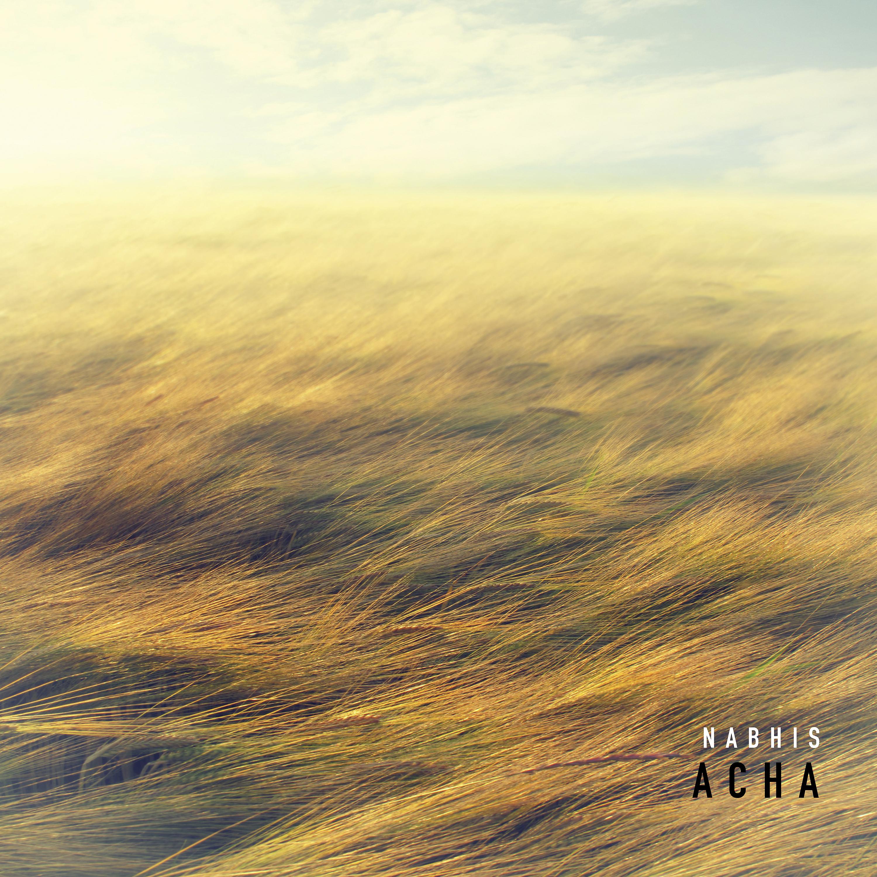 Постер альбома Acha