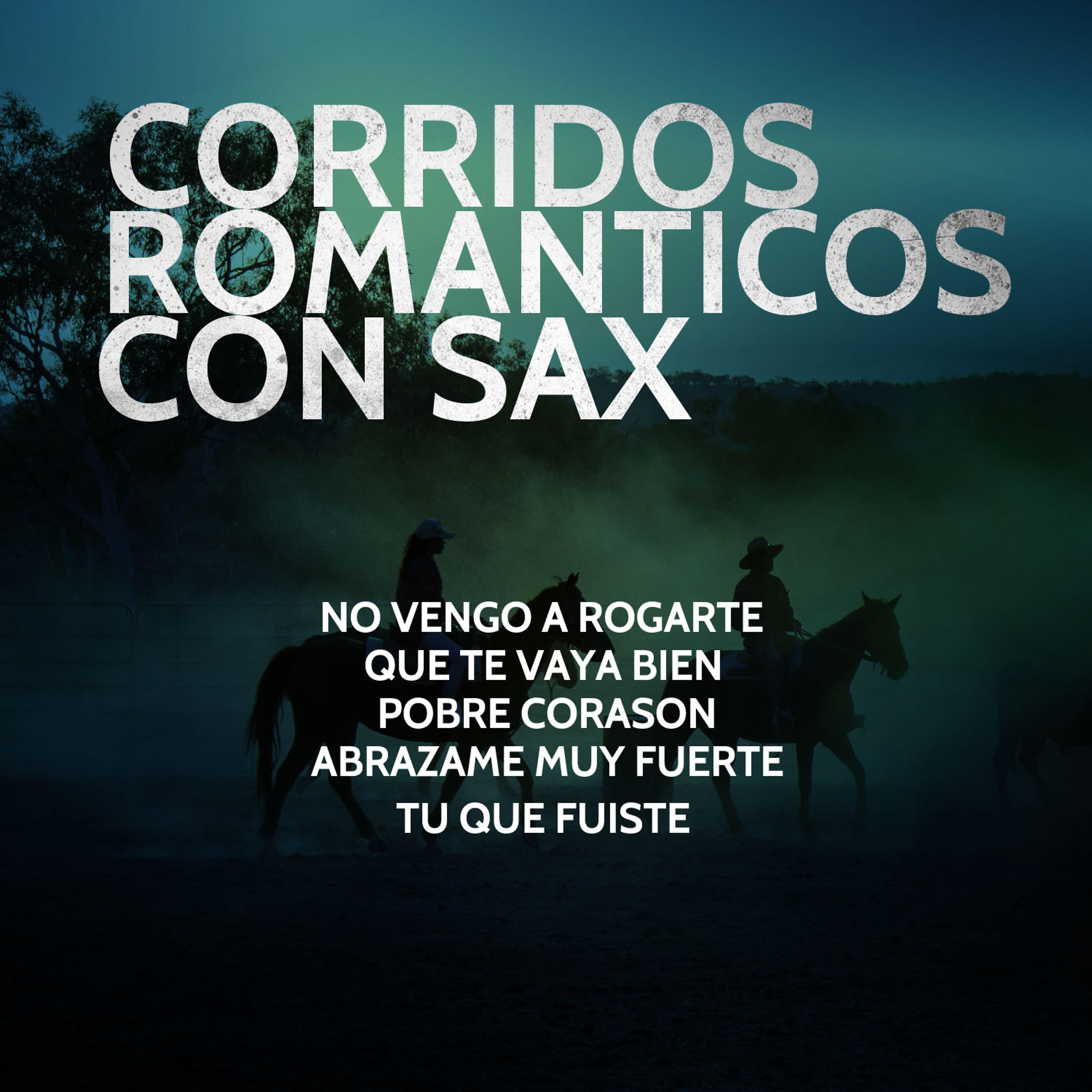 Постер альбома Corridos Romanticos Con Sax: No Vengo a Rogarte, Que Te Vaya Bien, Pobre Corason, Abrazame Muy Fuerte, Tu Que Fuiste