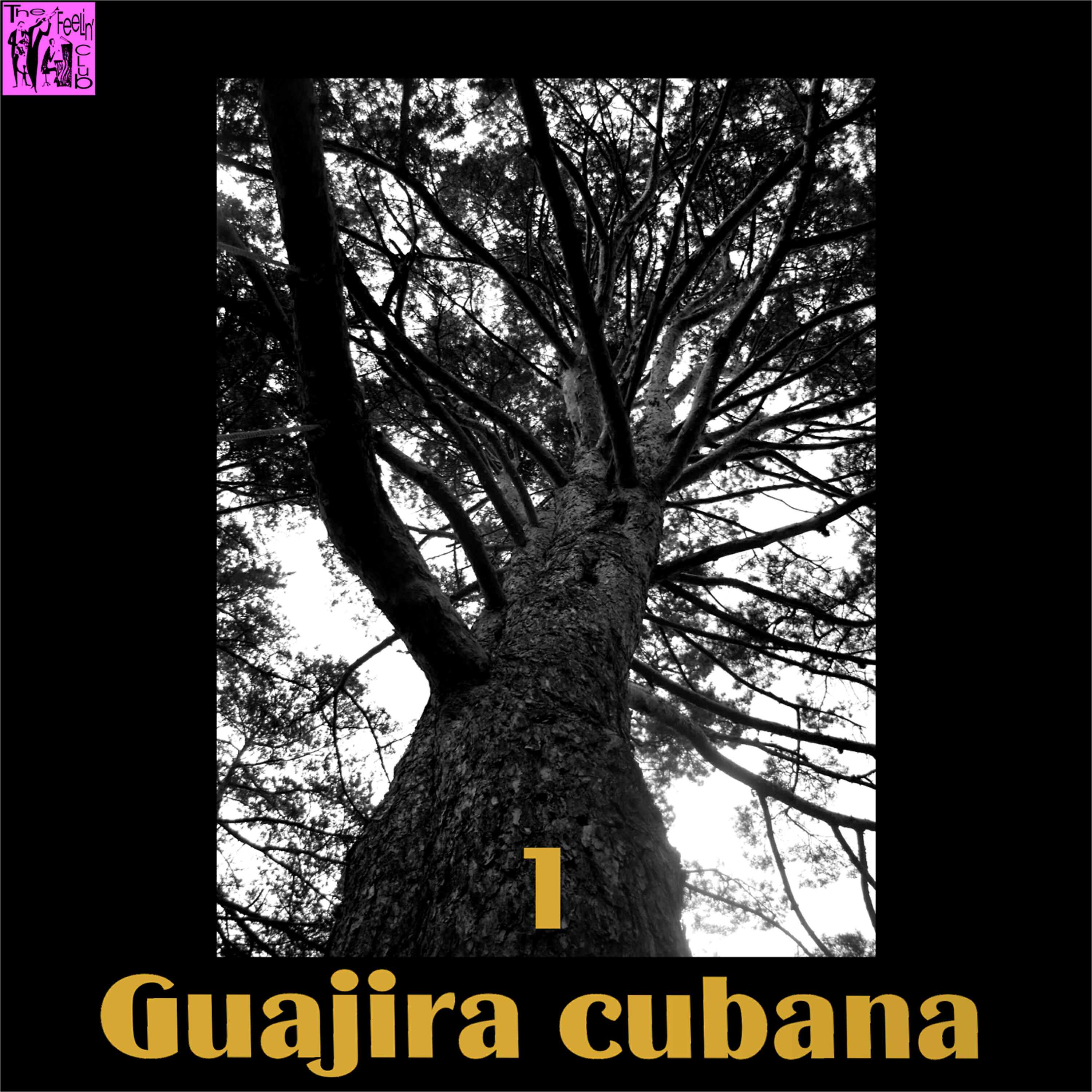 Alfredito Valdes - Ay Mi Guajira