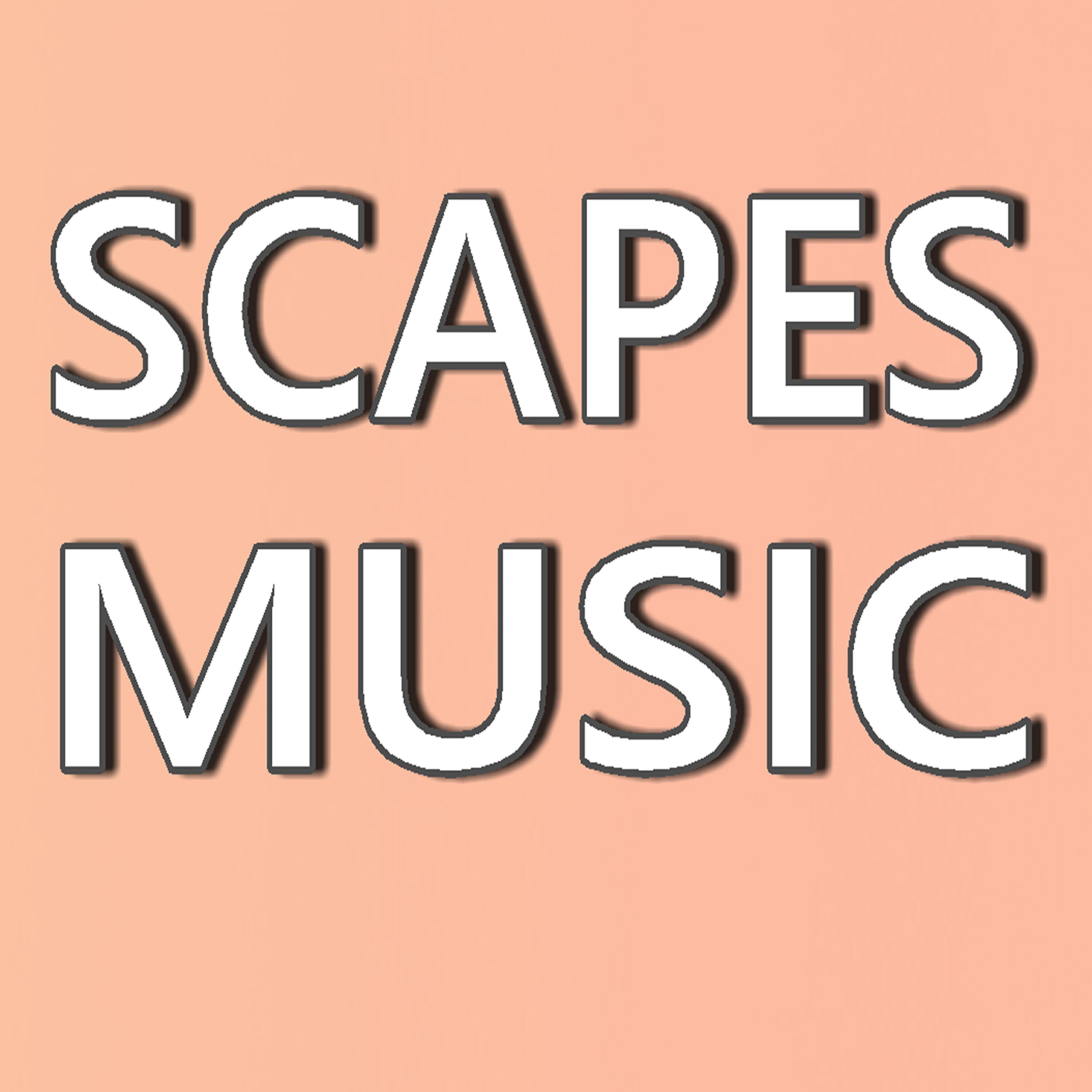 Micheal James Band - Scapes Music
