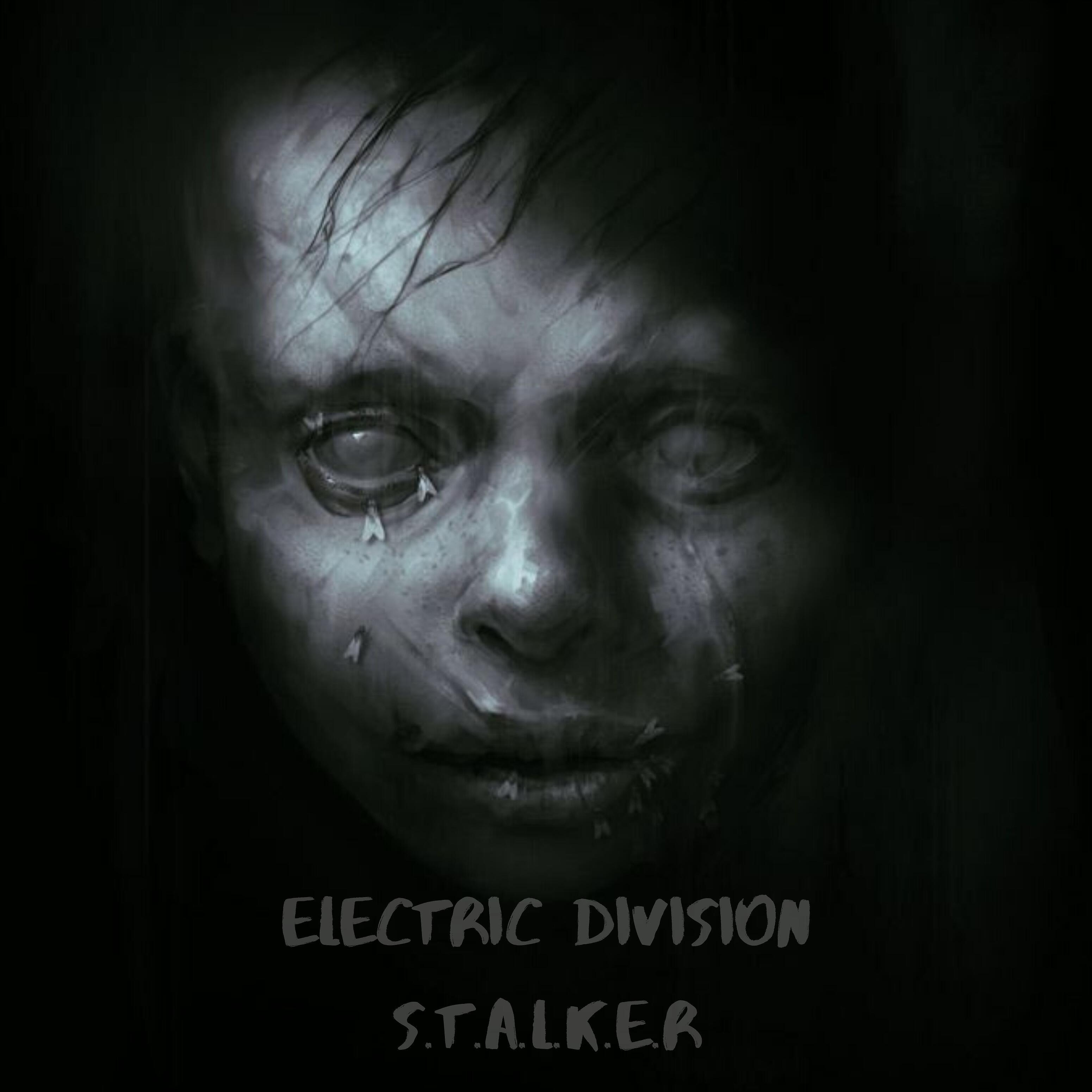 Electric Division - S.t.a.l.k.e.r