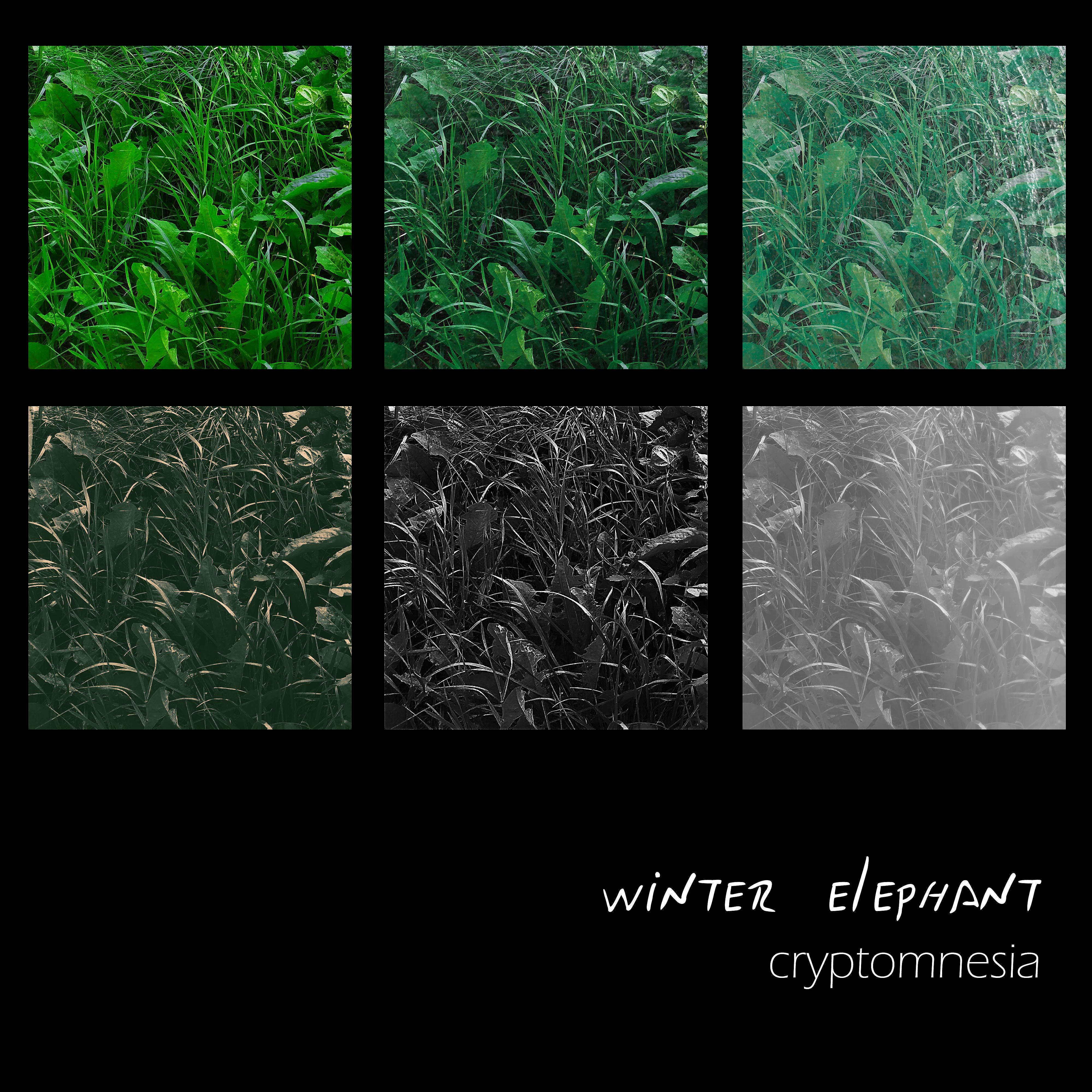 Постер альбома Cryptomnesia