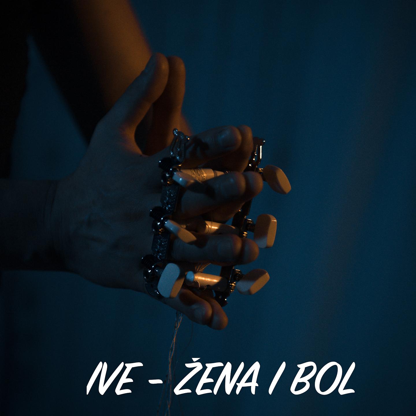 Постер альбома Žena i bol