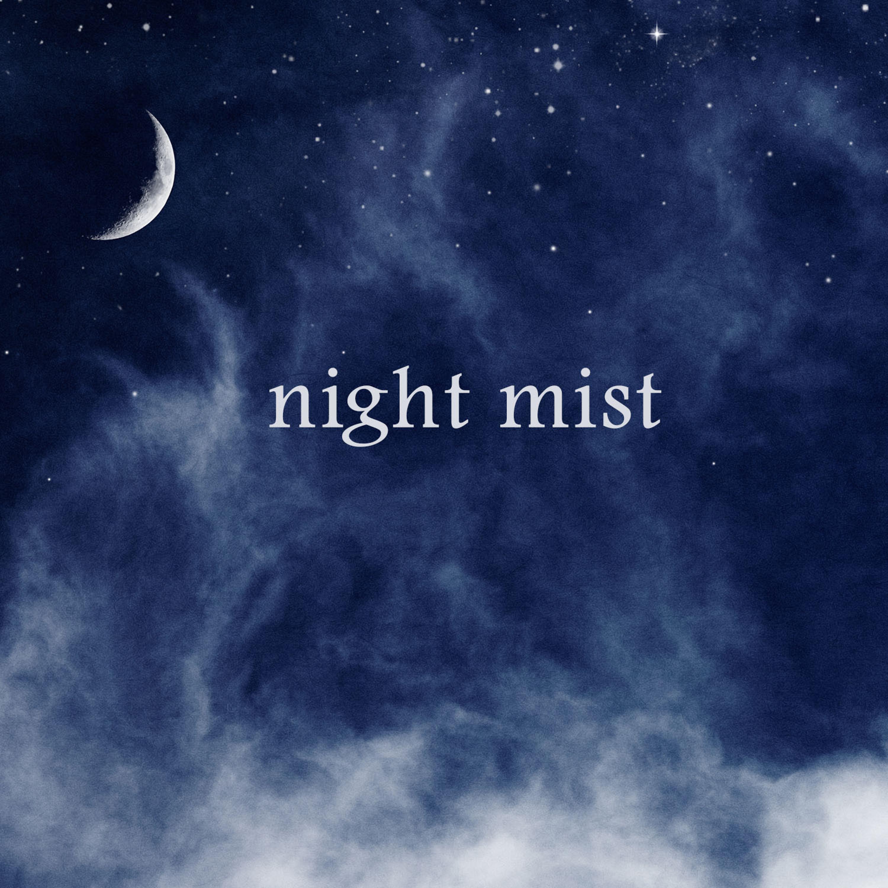 Постер альбома Night Mist