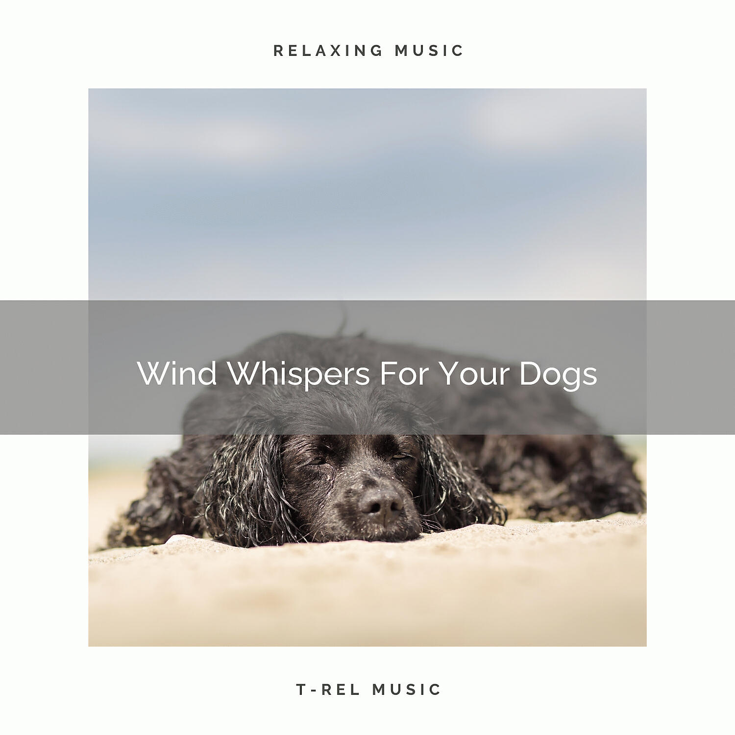Pets Relax - Calming Waves Whispers For Your Beloved Dogs