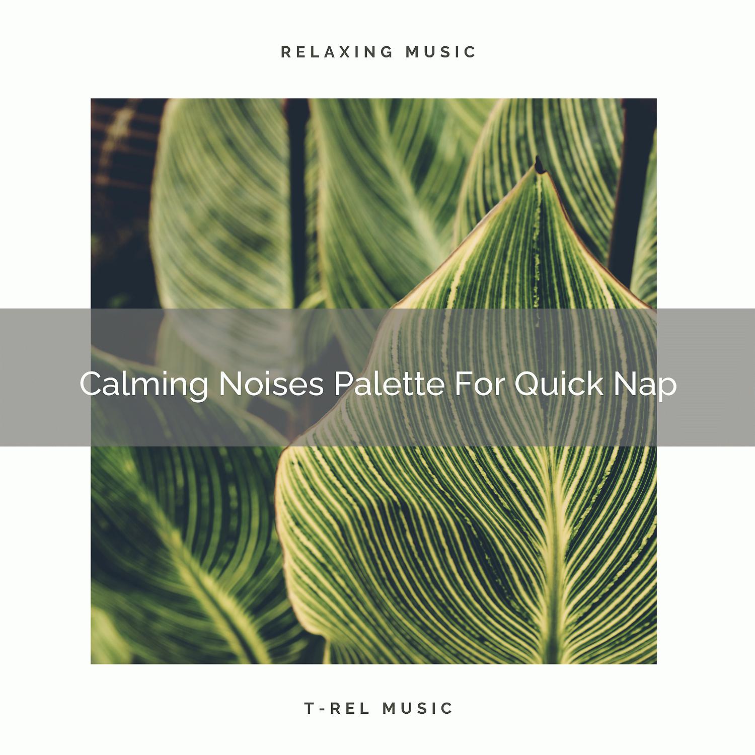 Постер альбома Calming Noises Palette For Quick Nap