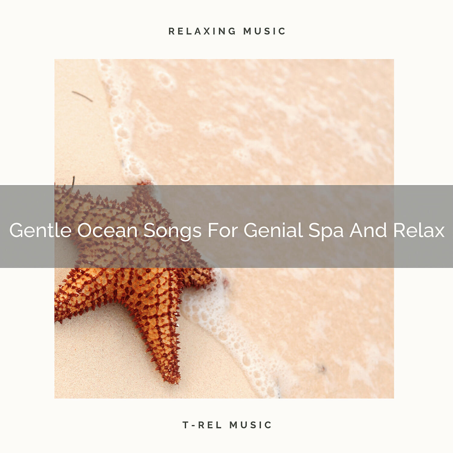 Timeless Relax - Gentle Ocean Songs For Genial Spa Tension Ease