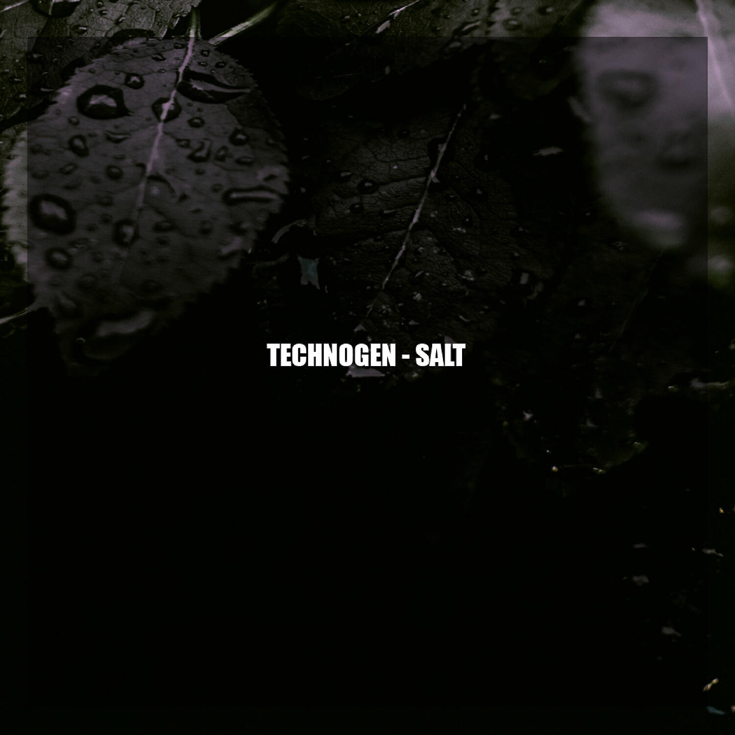 Technogen - Salt (original mix)