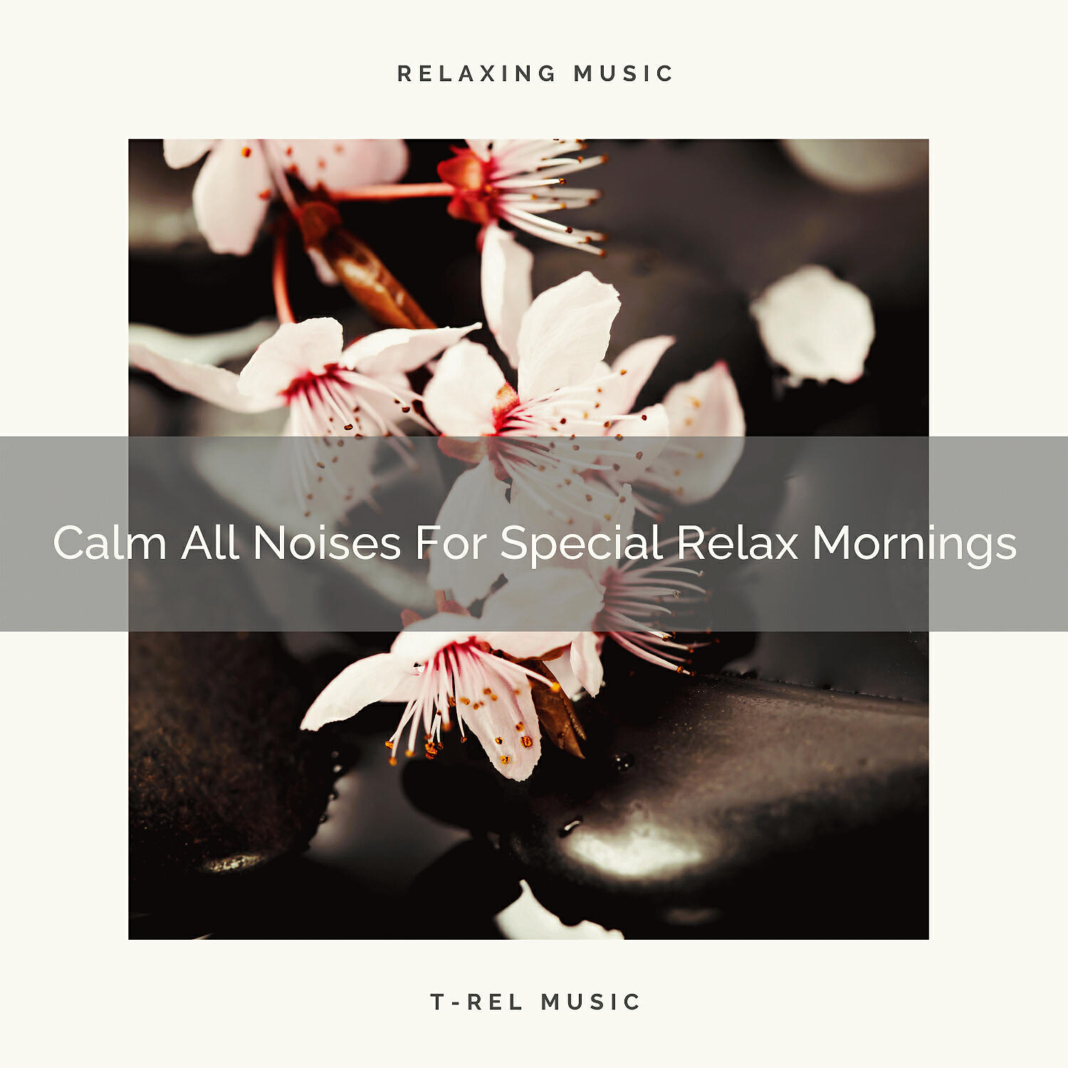 Baby Sleep Music - Mega All Noises For Bizarre Relax Night