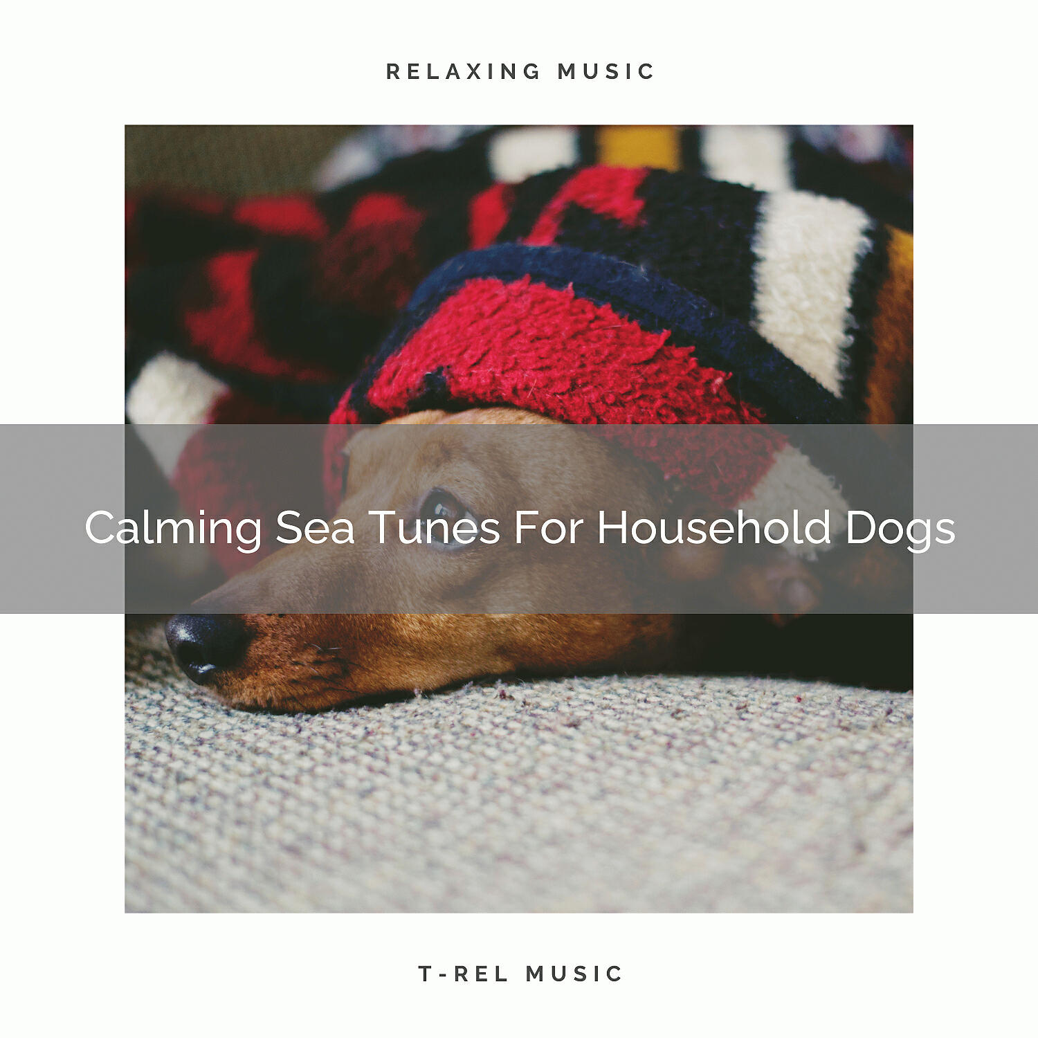 Dog Relax - Waves Whispers For Dogs