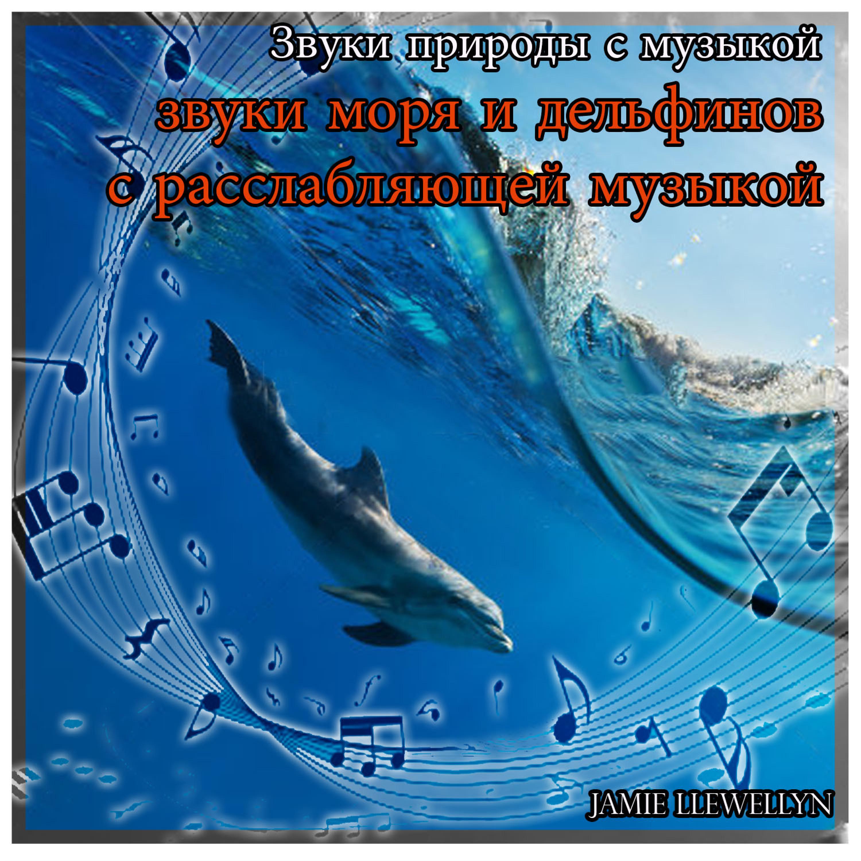 Постер альбома Звуки природы с музыкой:  звуки моря и дельфинов с расслабляющей музыкой
