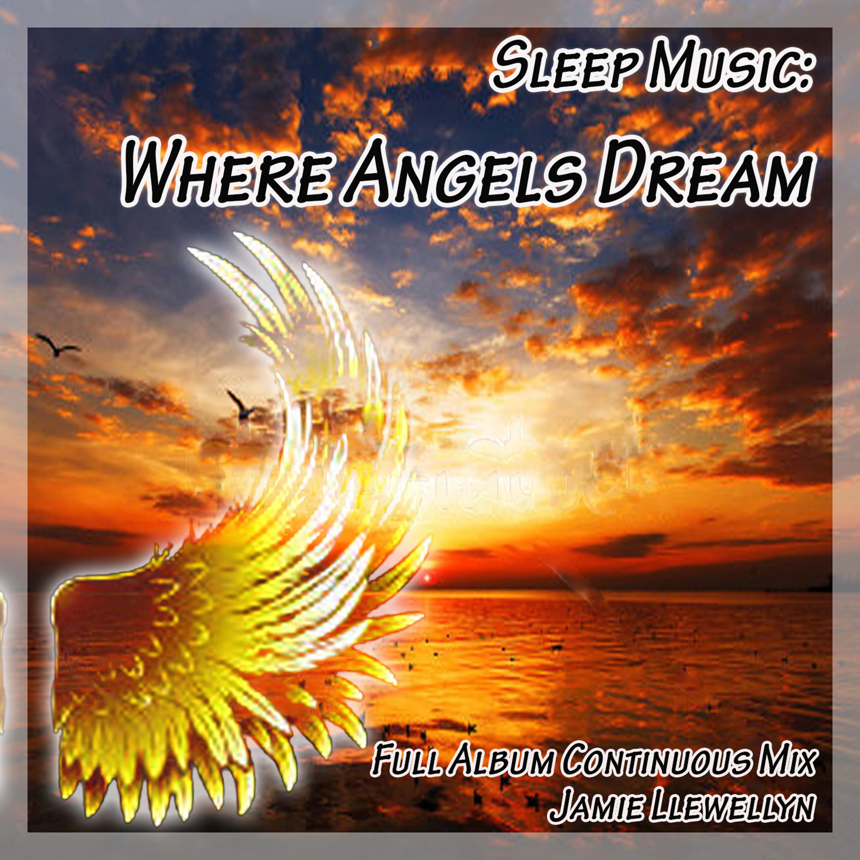 Постер альбома Sleep Music: Where Angels Dream