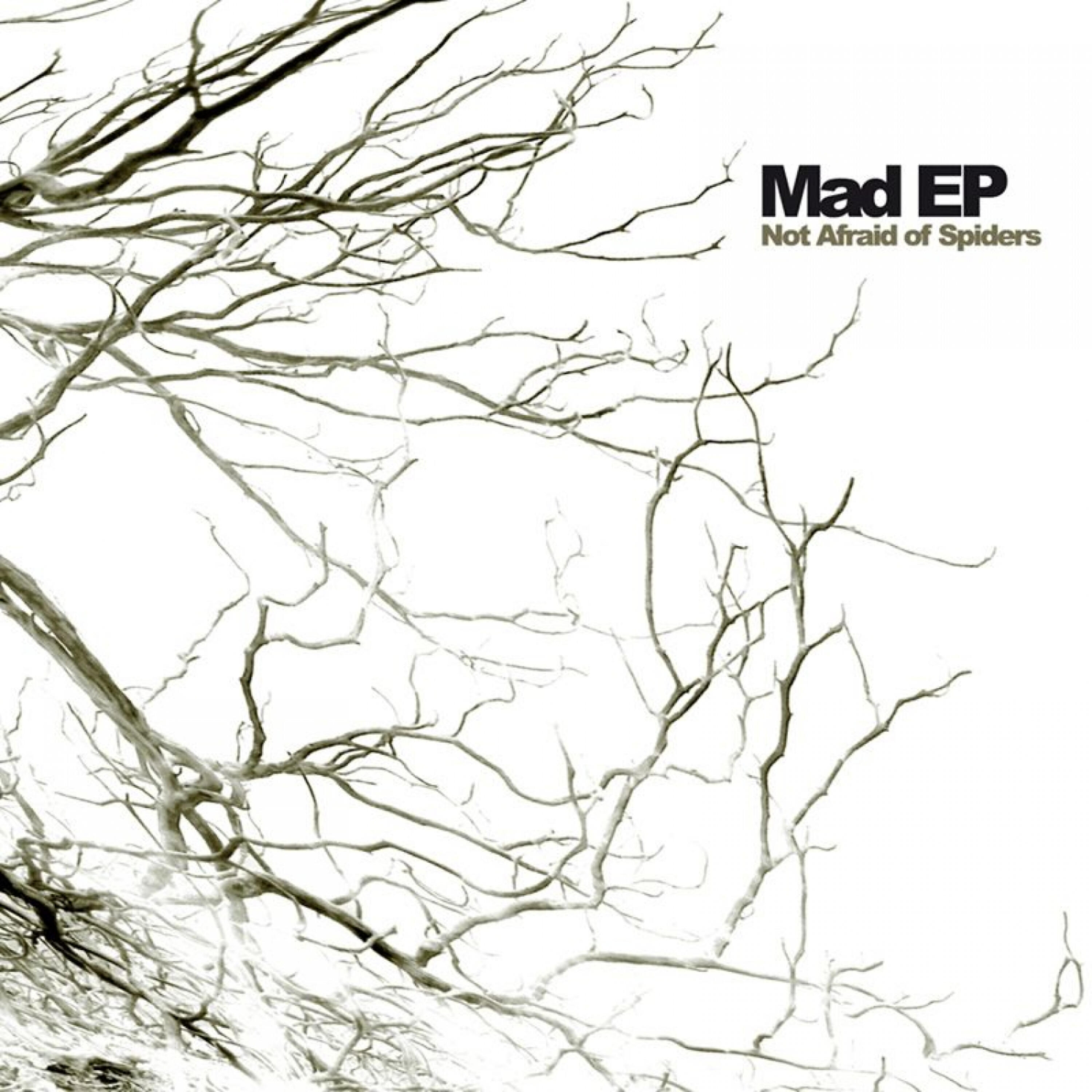 Mad Ep - Smiling in Gridlock