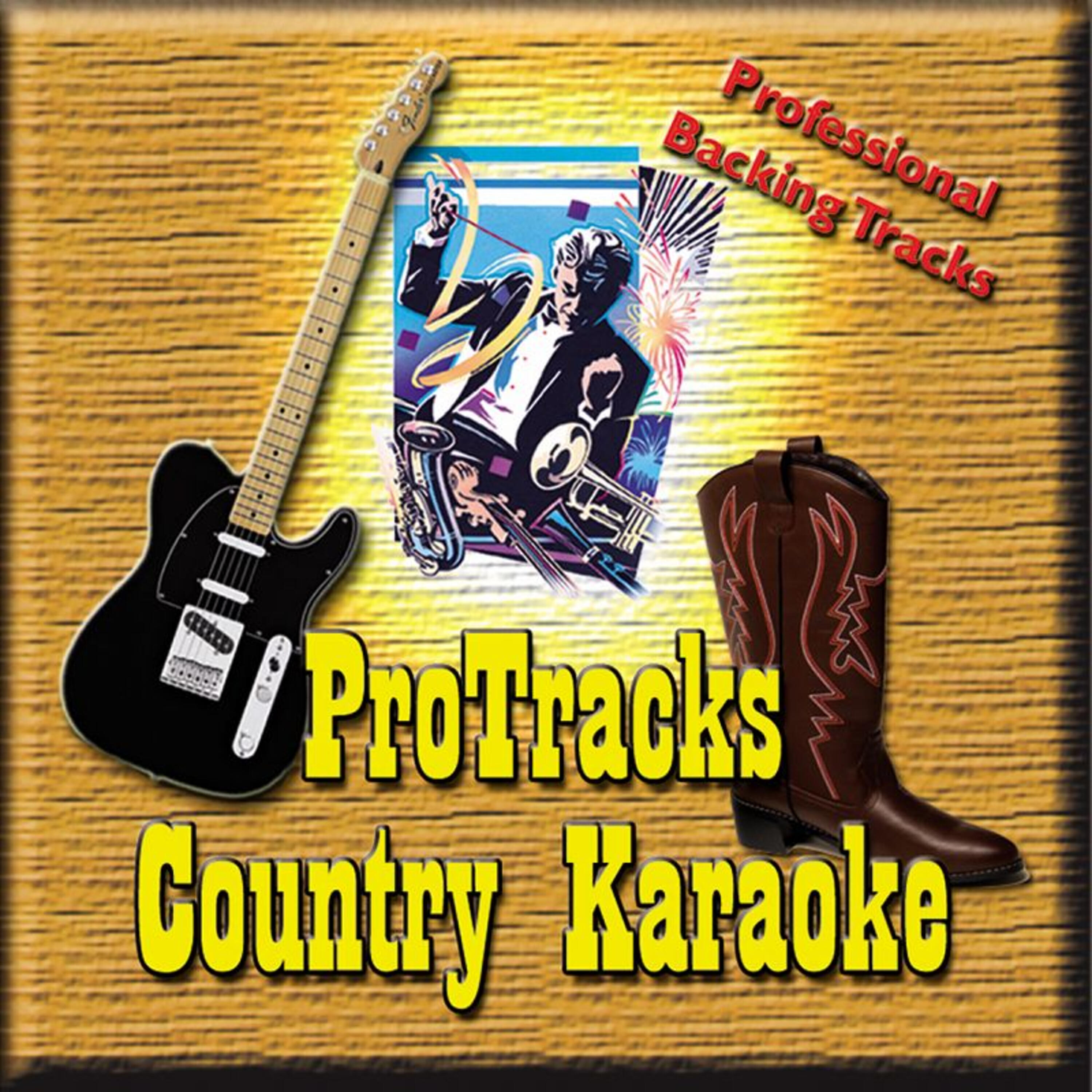 ProTracks (Karaoke) - Ordinary Life (In the Style of Chad Brock (Karaoke Version Teaching Vocal))